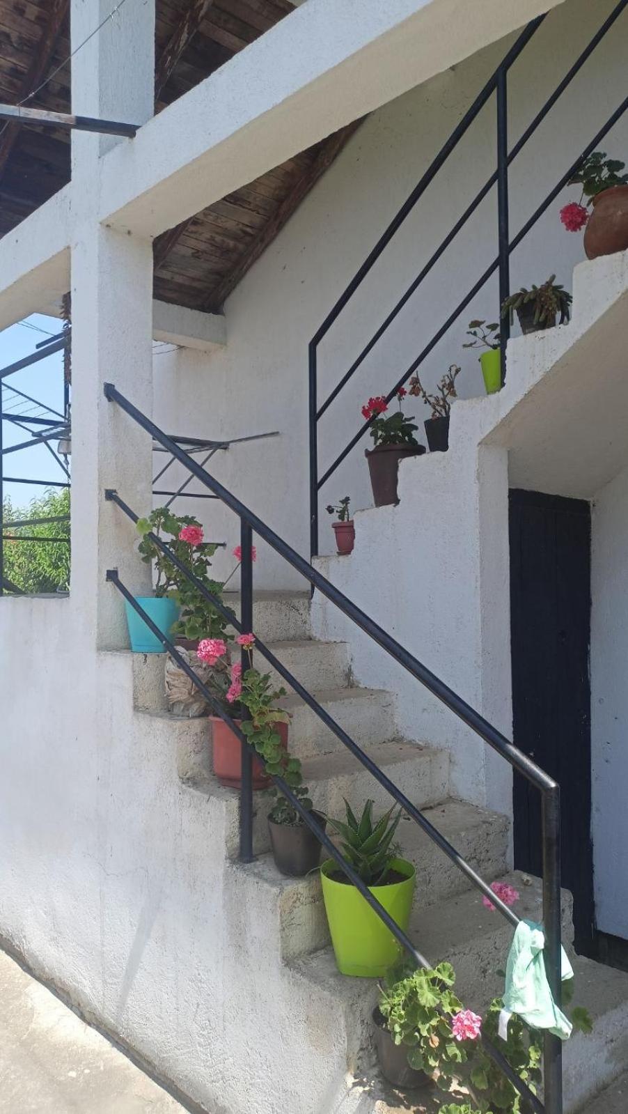 House Stefanovic