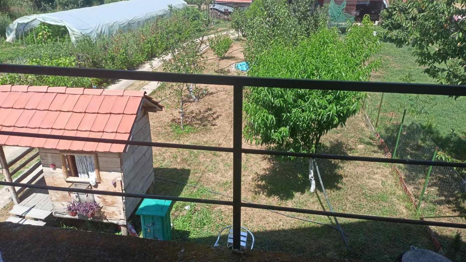 House Stefanovic