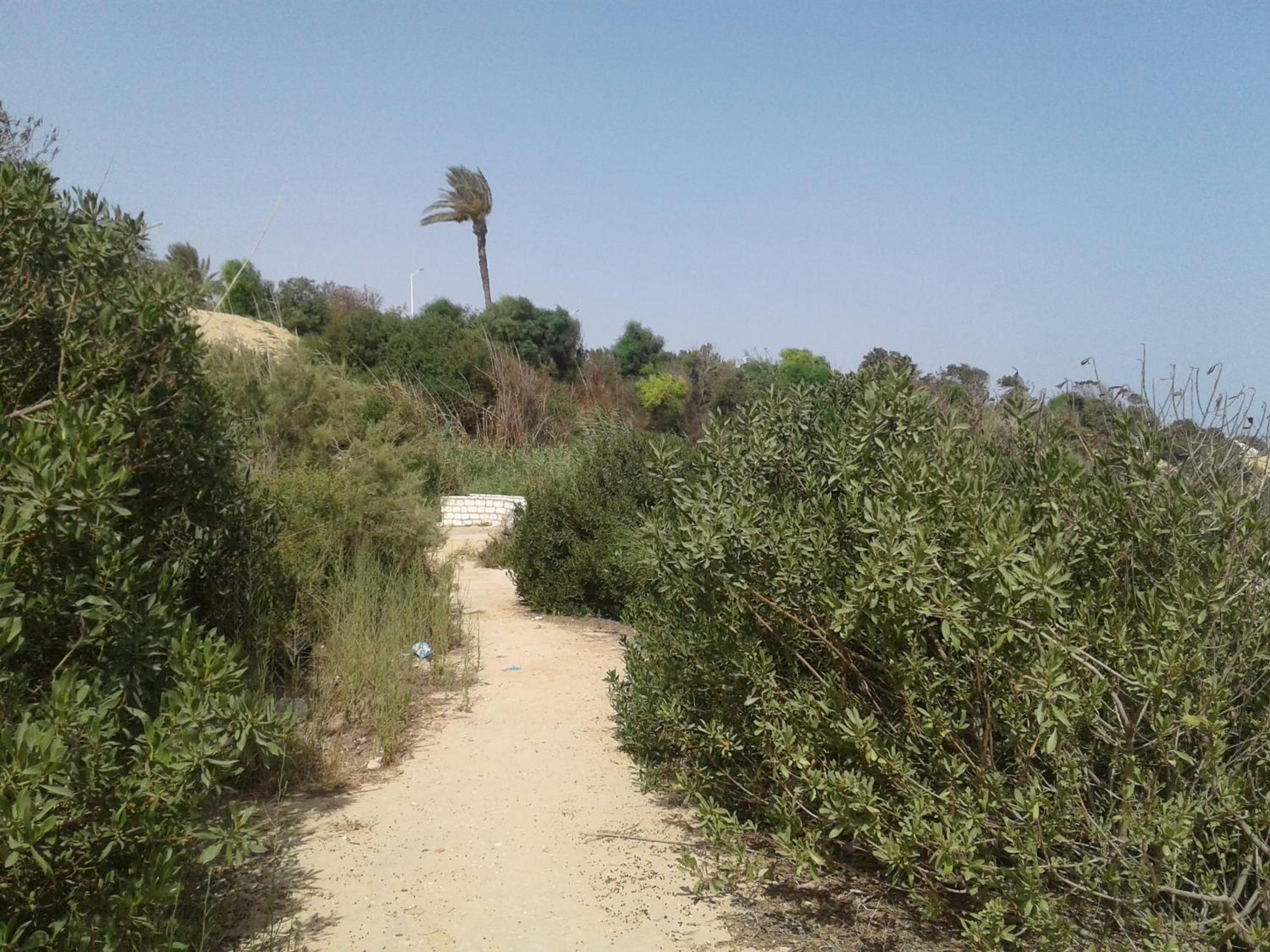 Photo 24