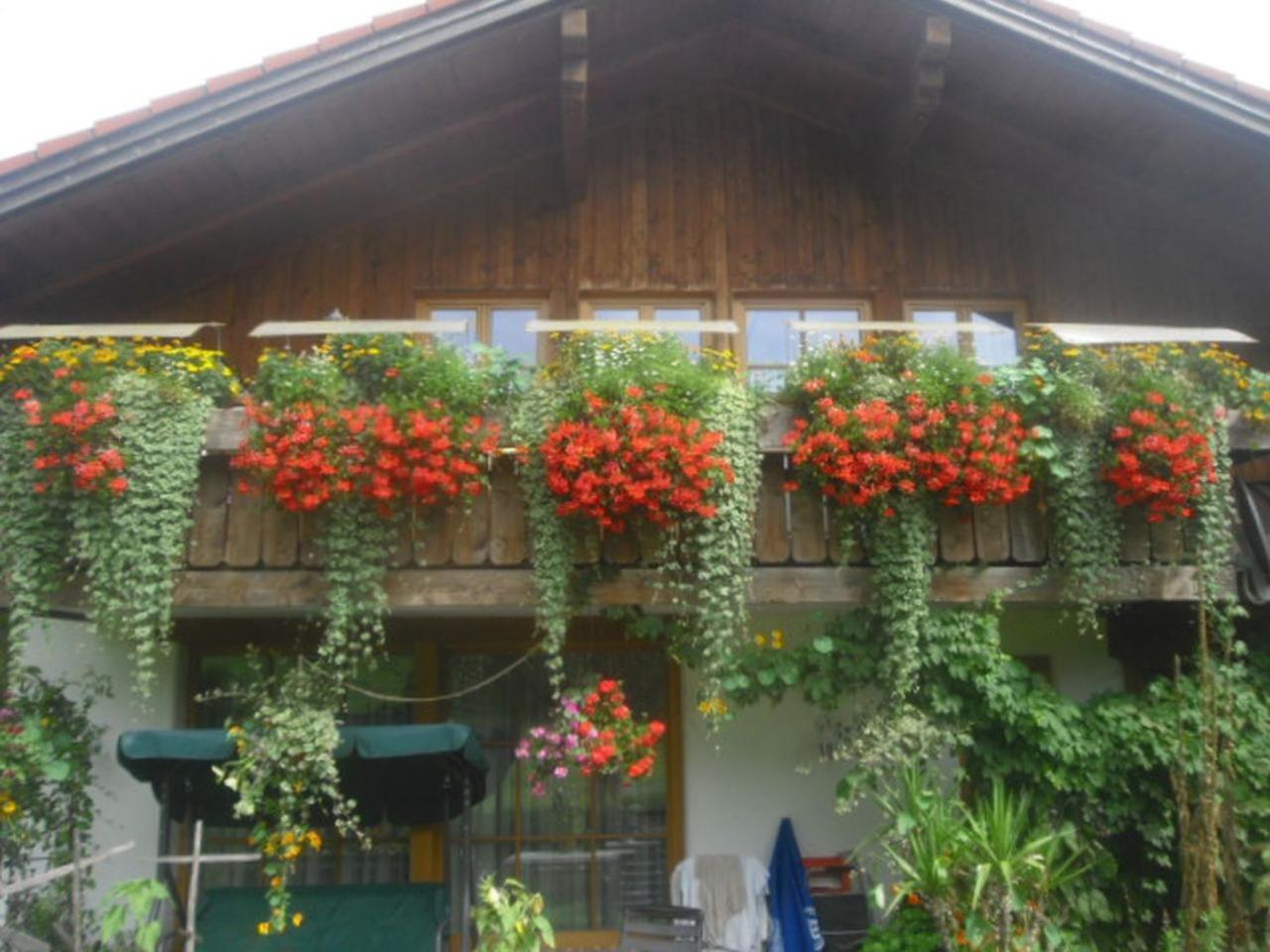Haus Auerhahn