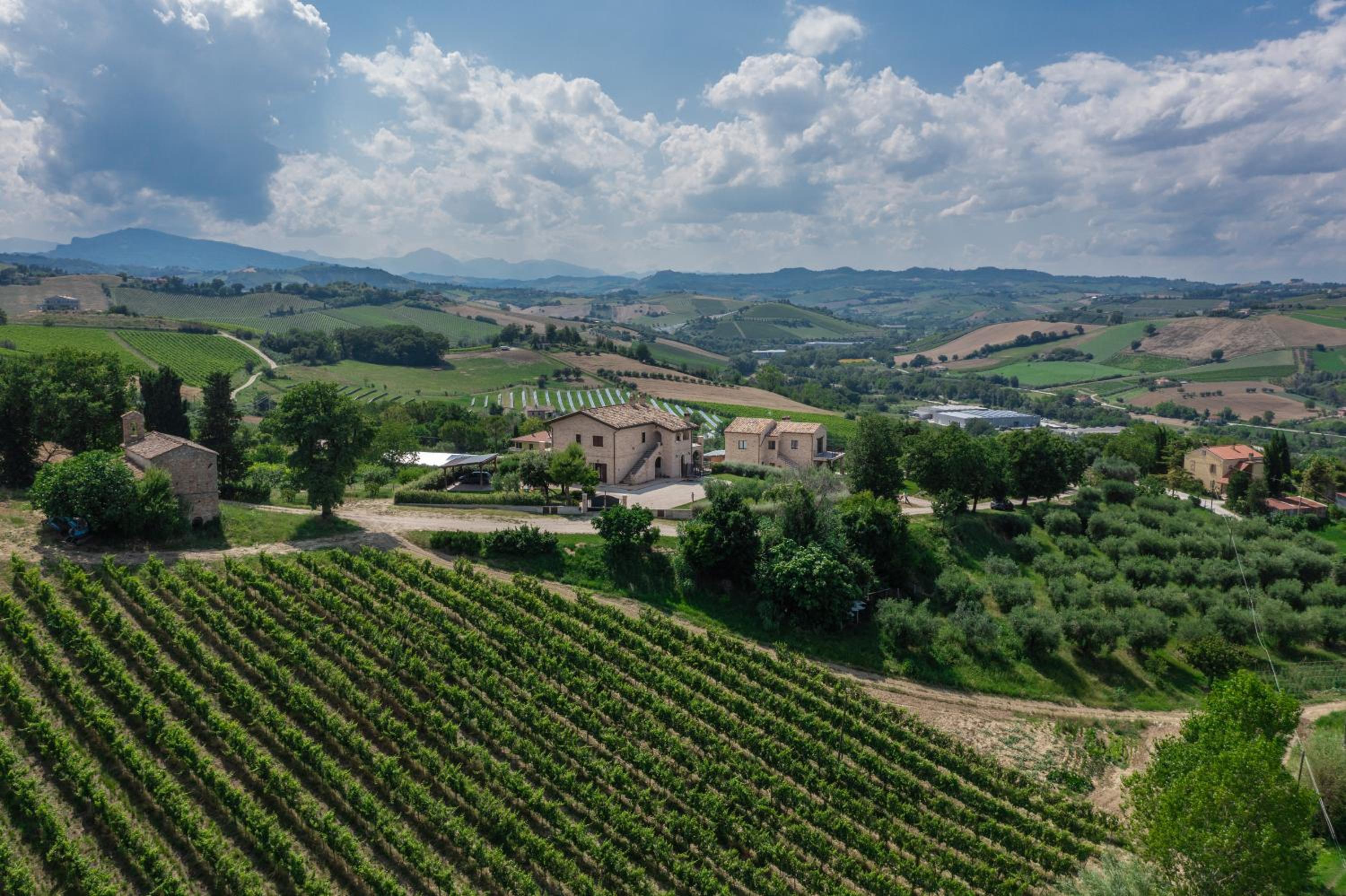 Agriturismo San Nicolino view 3
