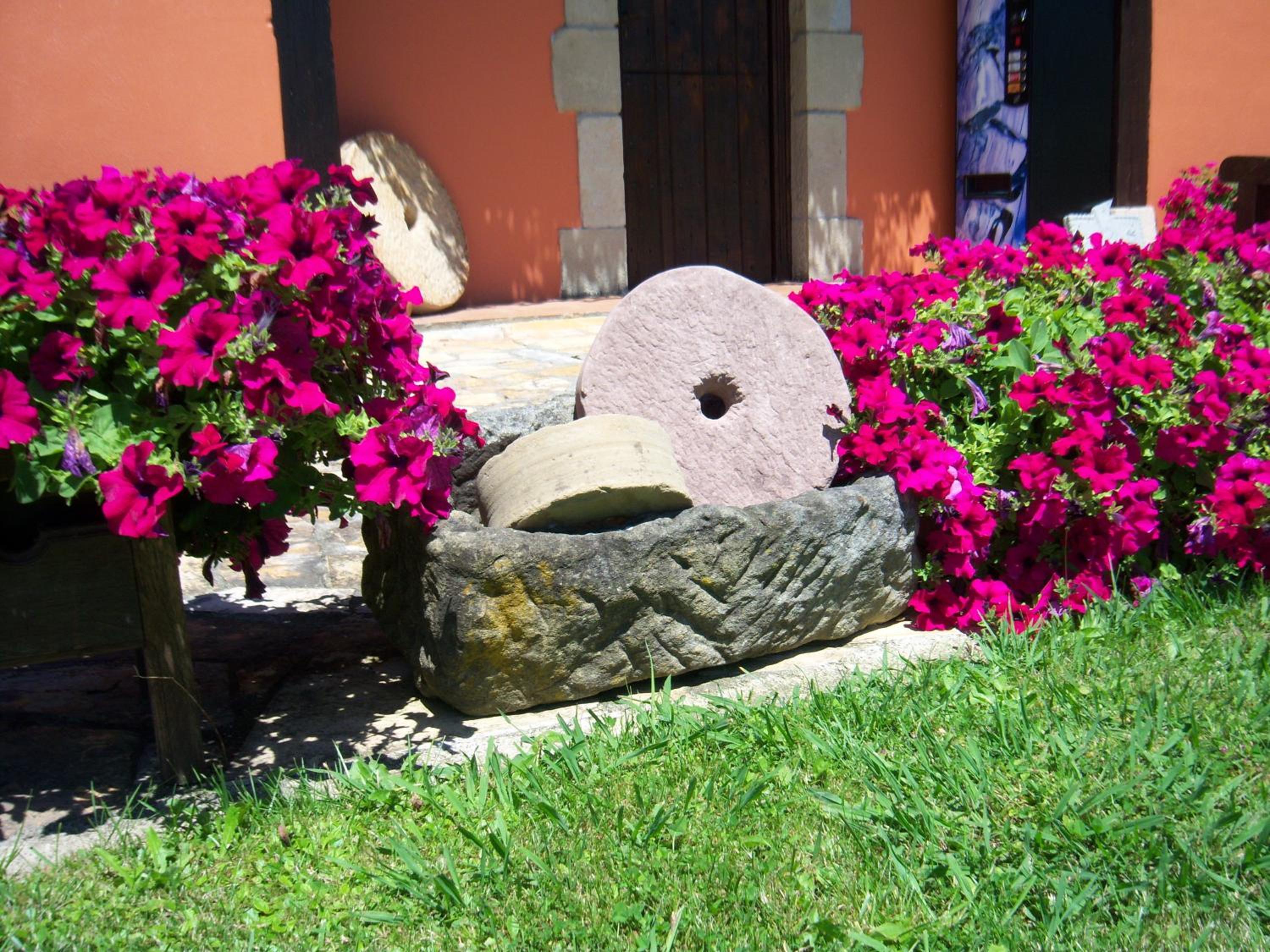 Kanpoeder - Adults Only photo 3