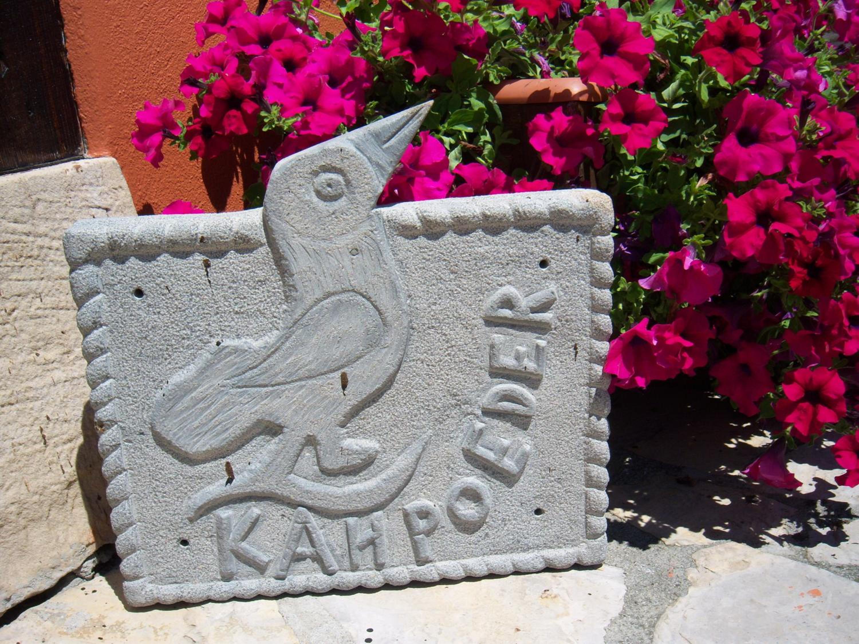 Kanpoeder - Adults Only photo 4