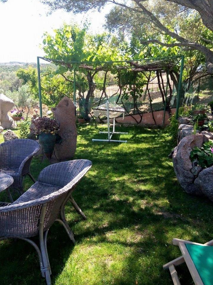 Photo 38