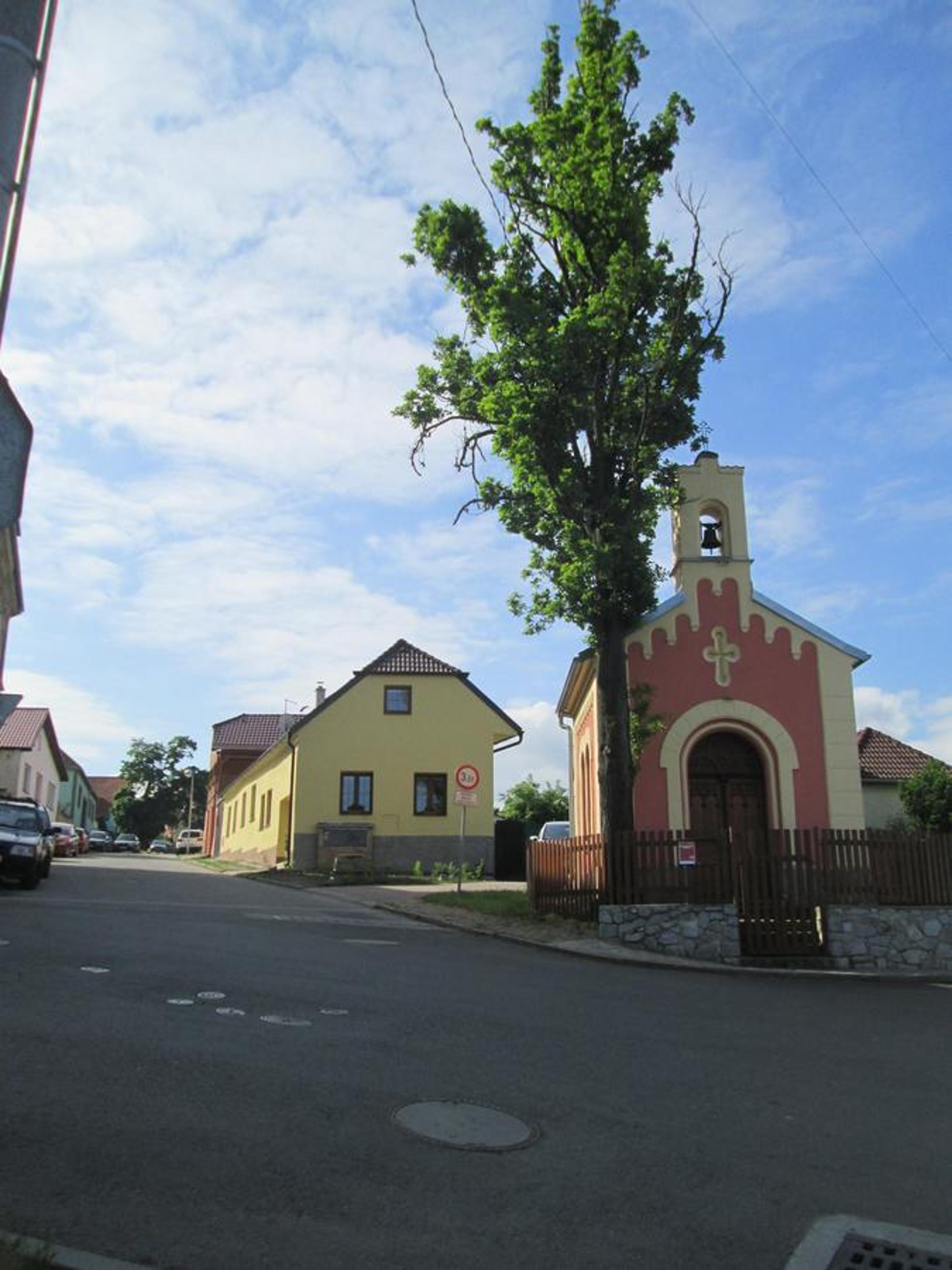 Photo 48