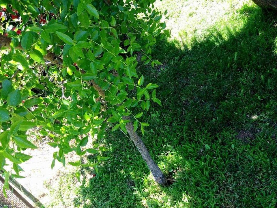 Photo 31