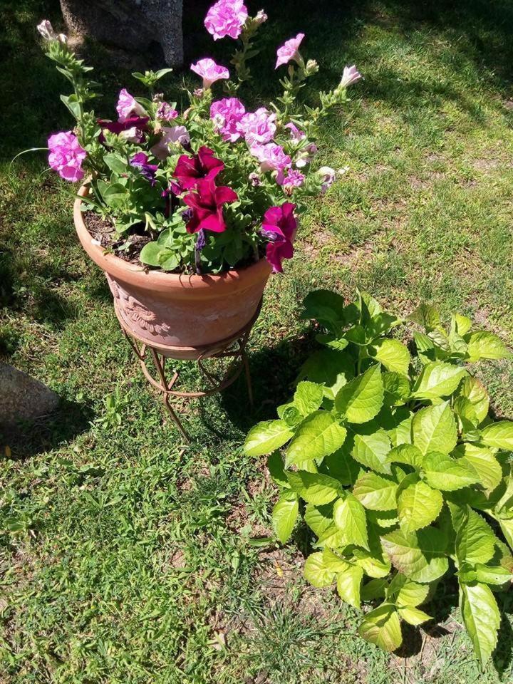 Photo 36