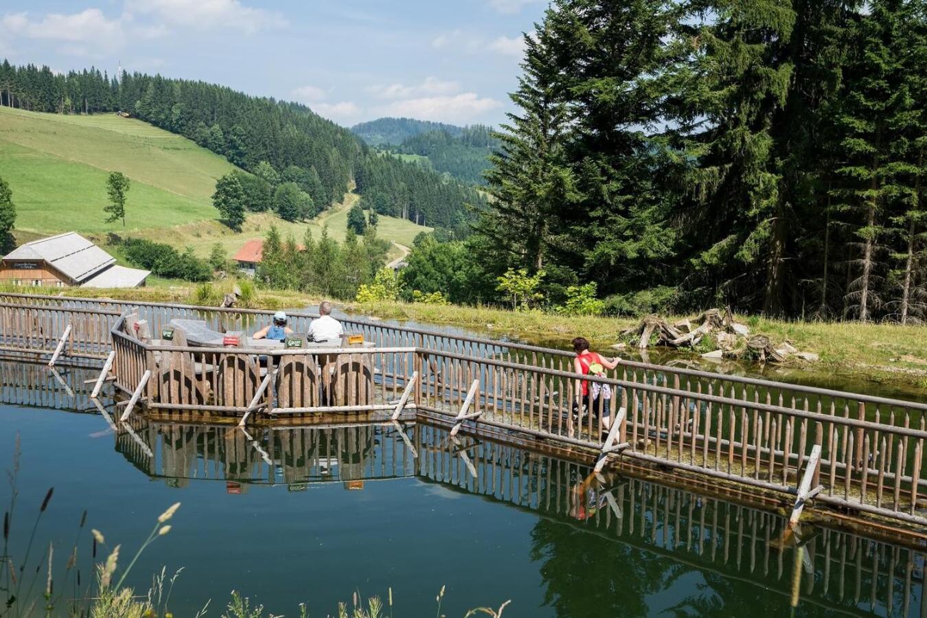 Almzeithütte am Seeberg