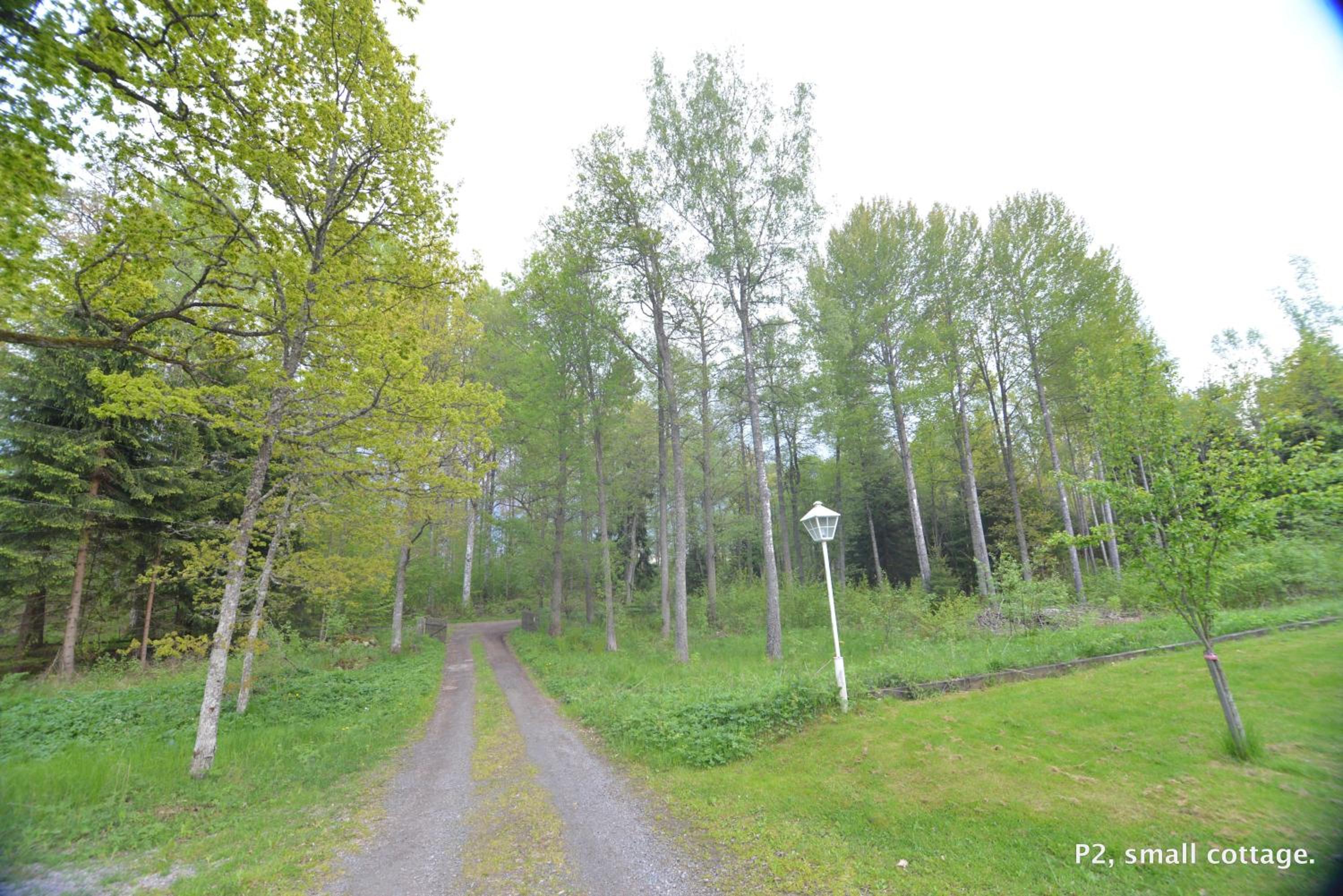 Photo 33