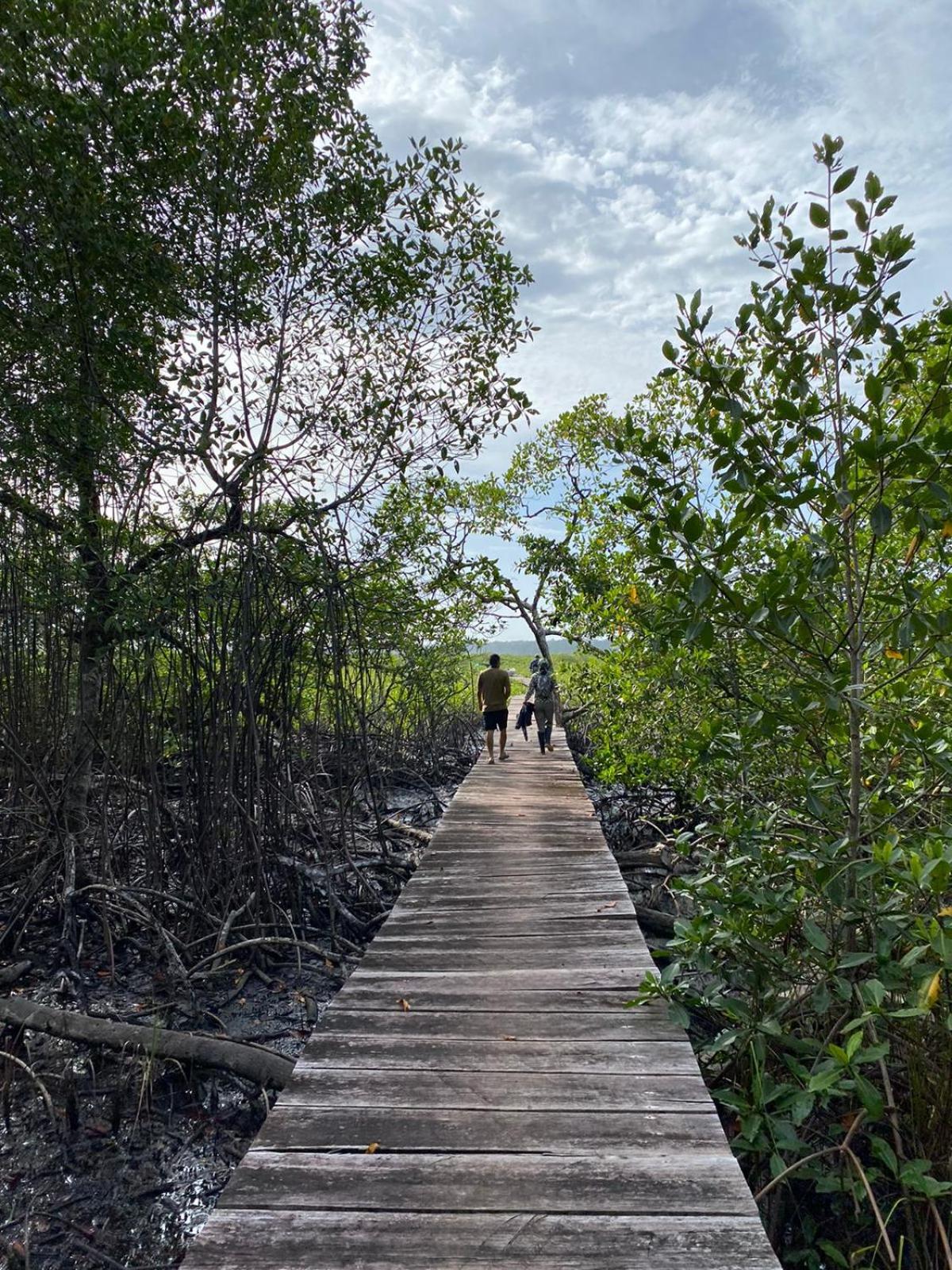 Photo 49