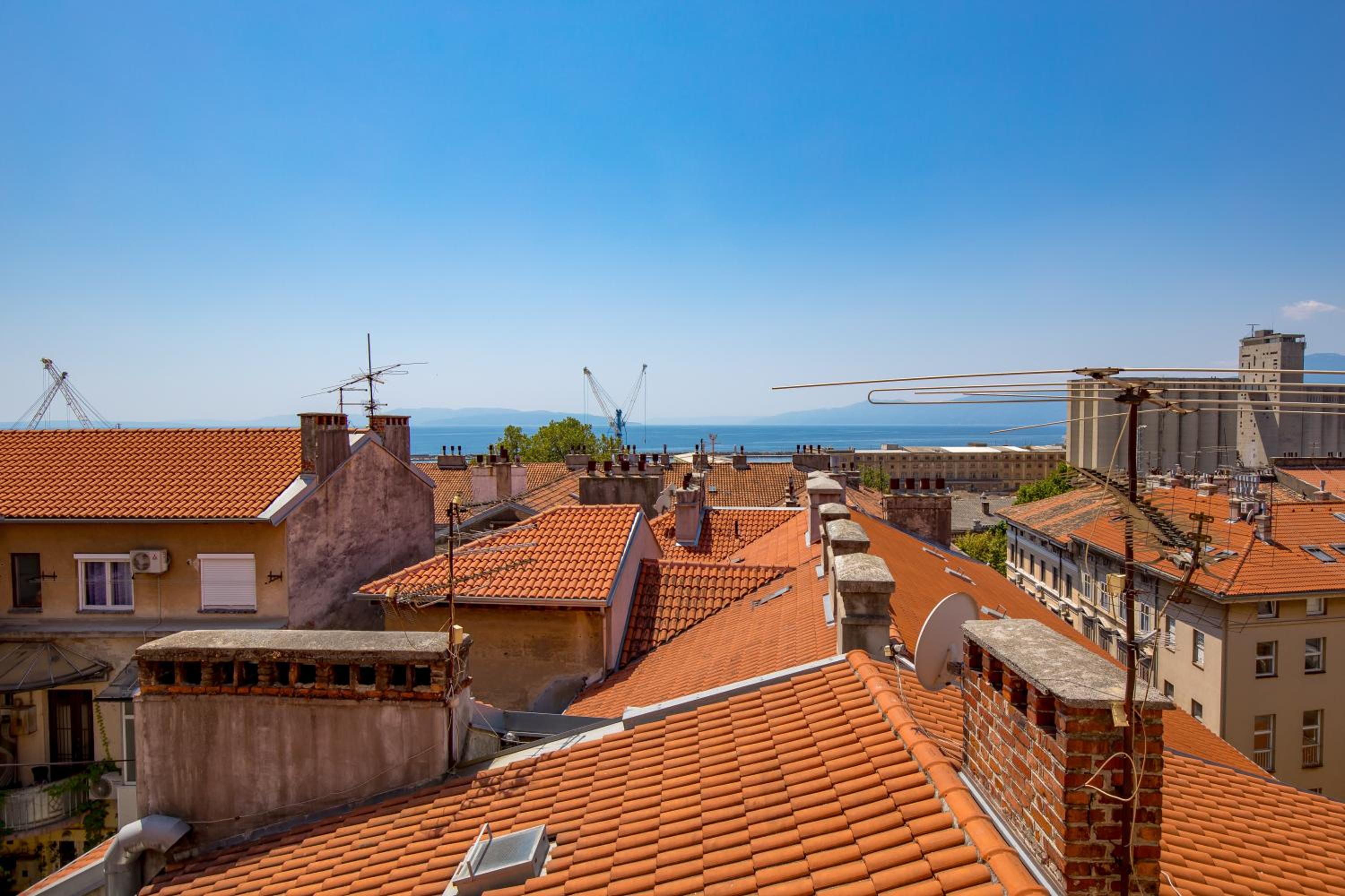 roof