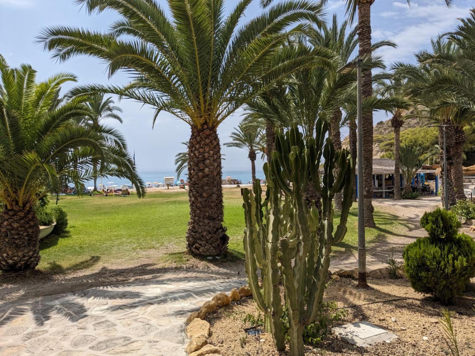 La caleta