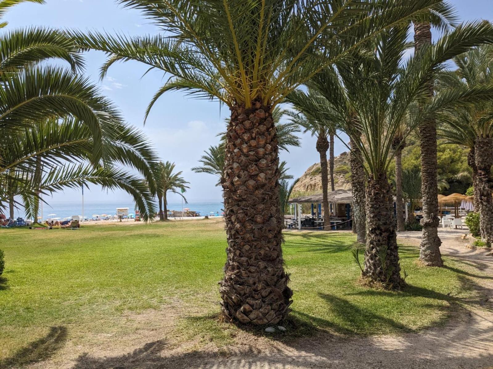 La caleta