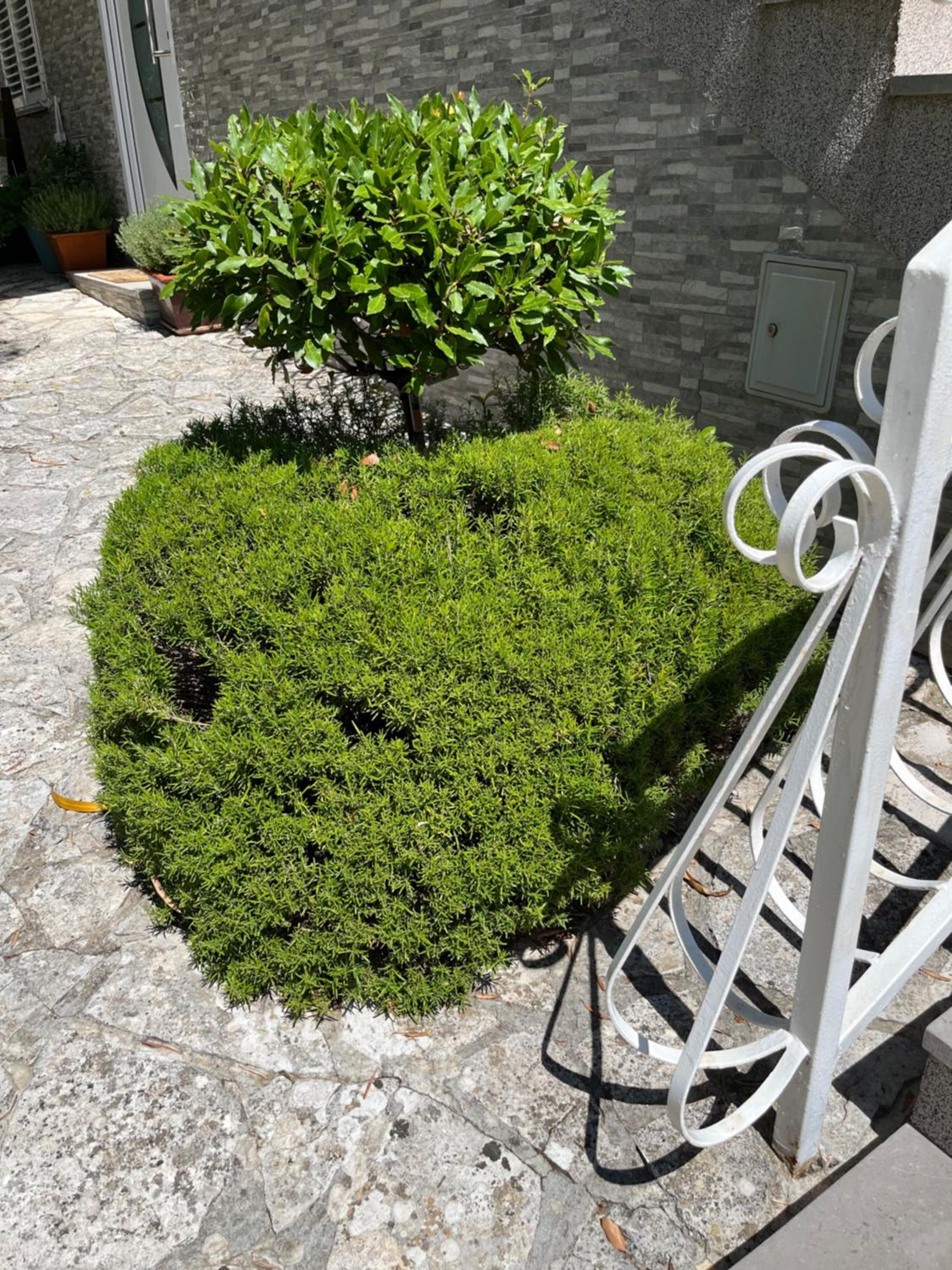 Apartmani Nada
