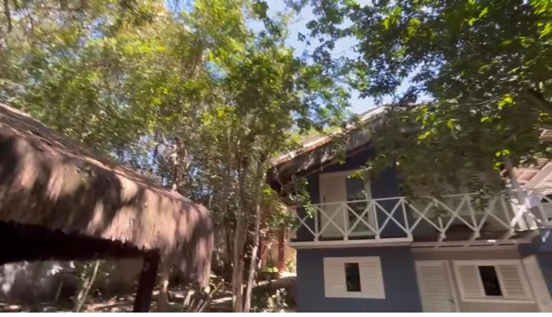 primeira vista pipa