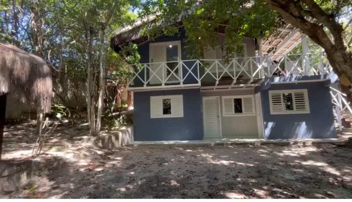 primeira vista pipa