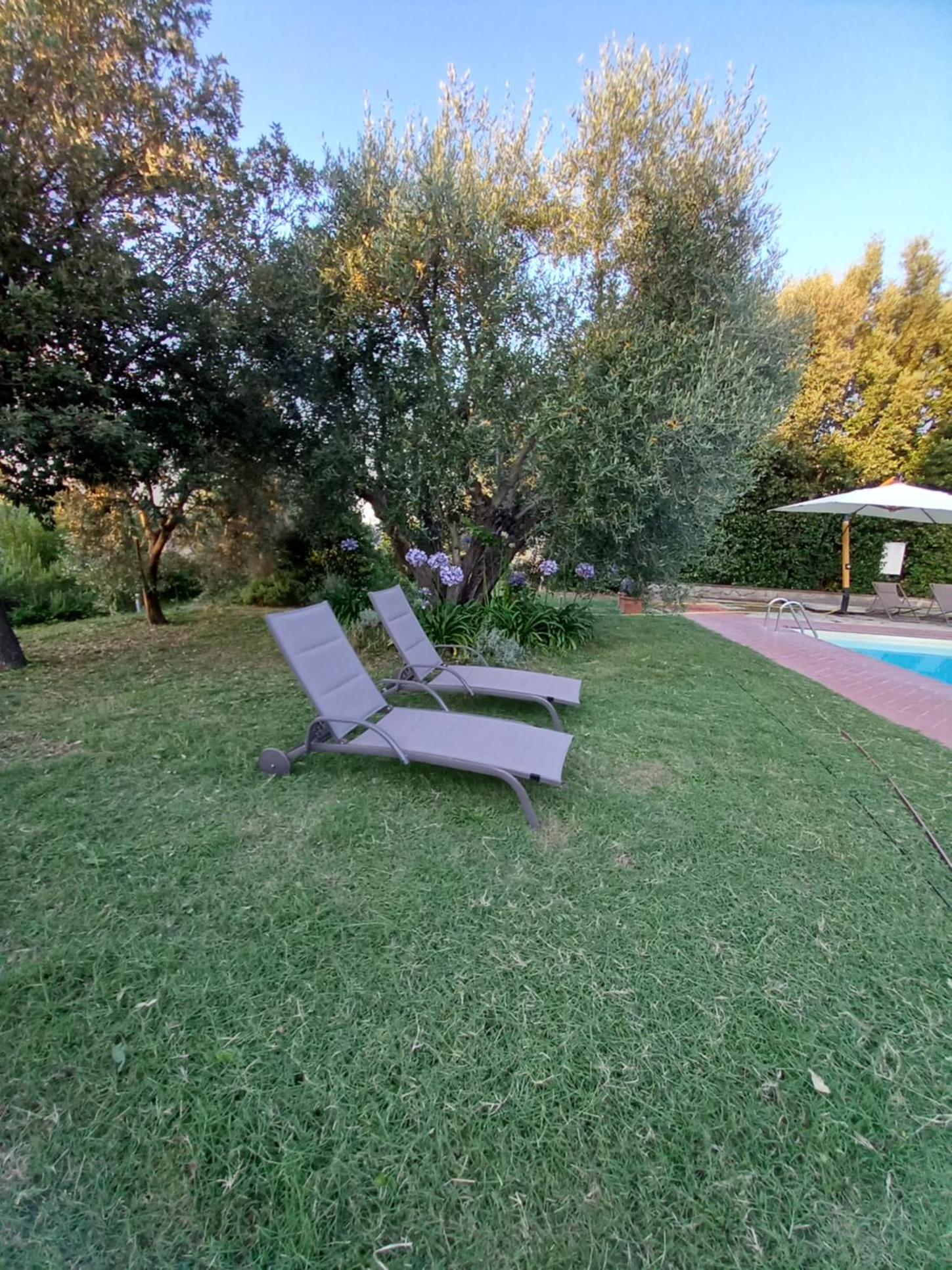 Photo 45