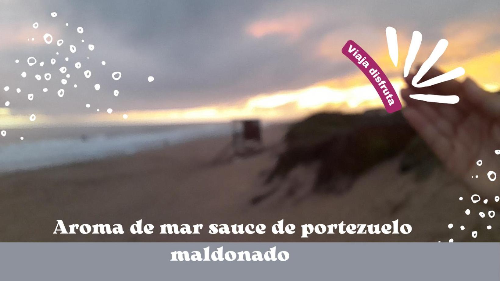 Photo 42