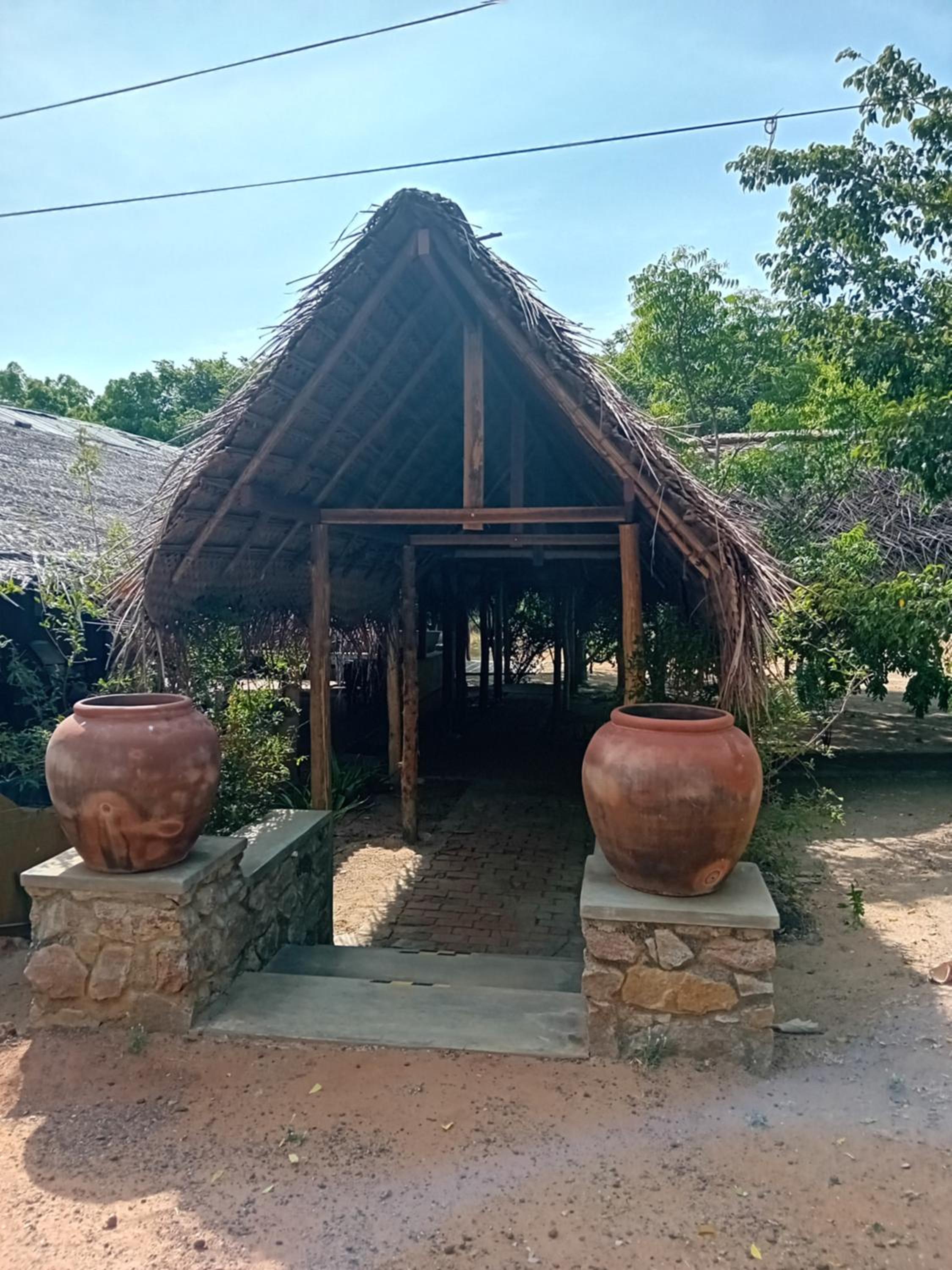 Photo 42