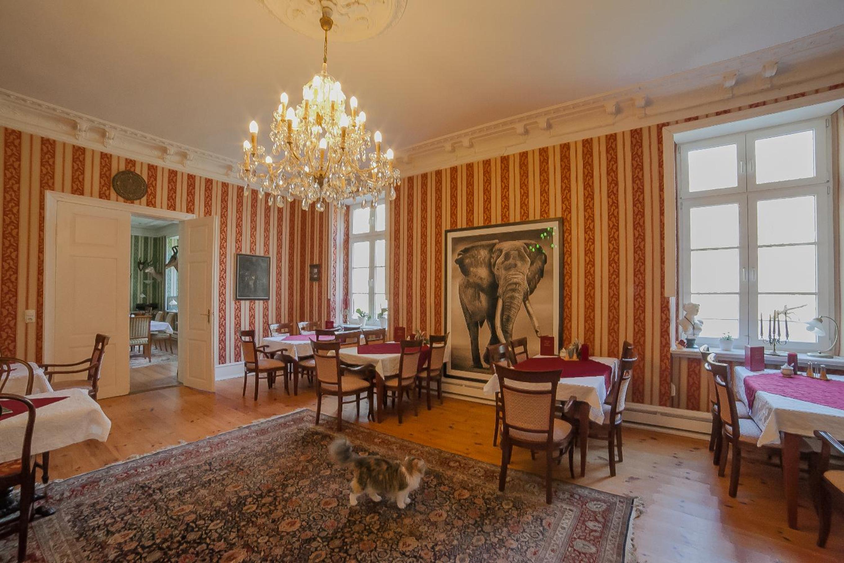Ostsee-Gutshaus Am Salzhaff Pepelow nähe Rerik- am Meer residieren!