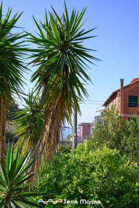 Nettuno, TerreMarine