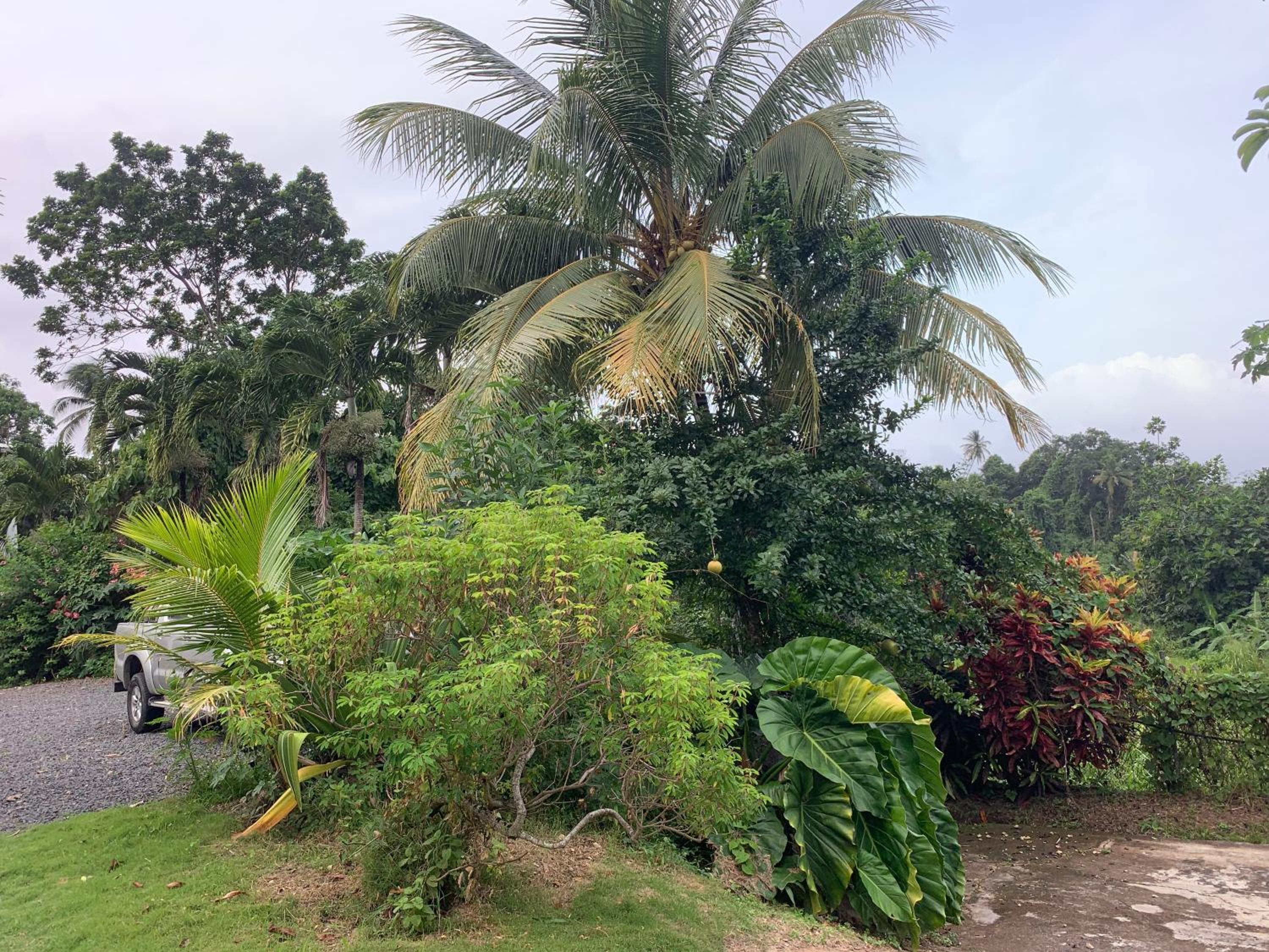 La Verdure
