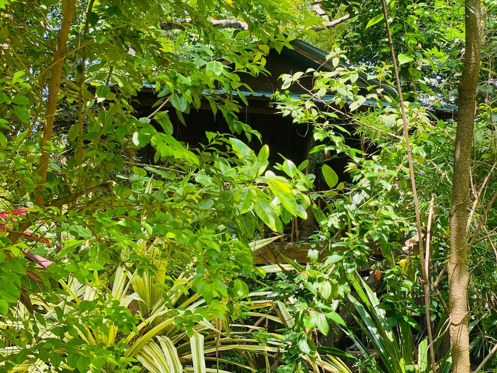 girilena resort view 2