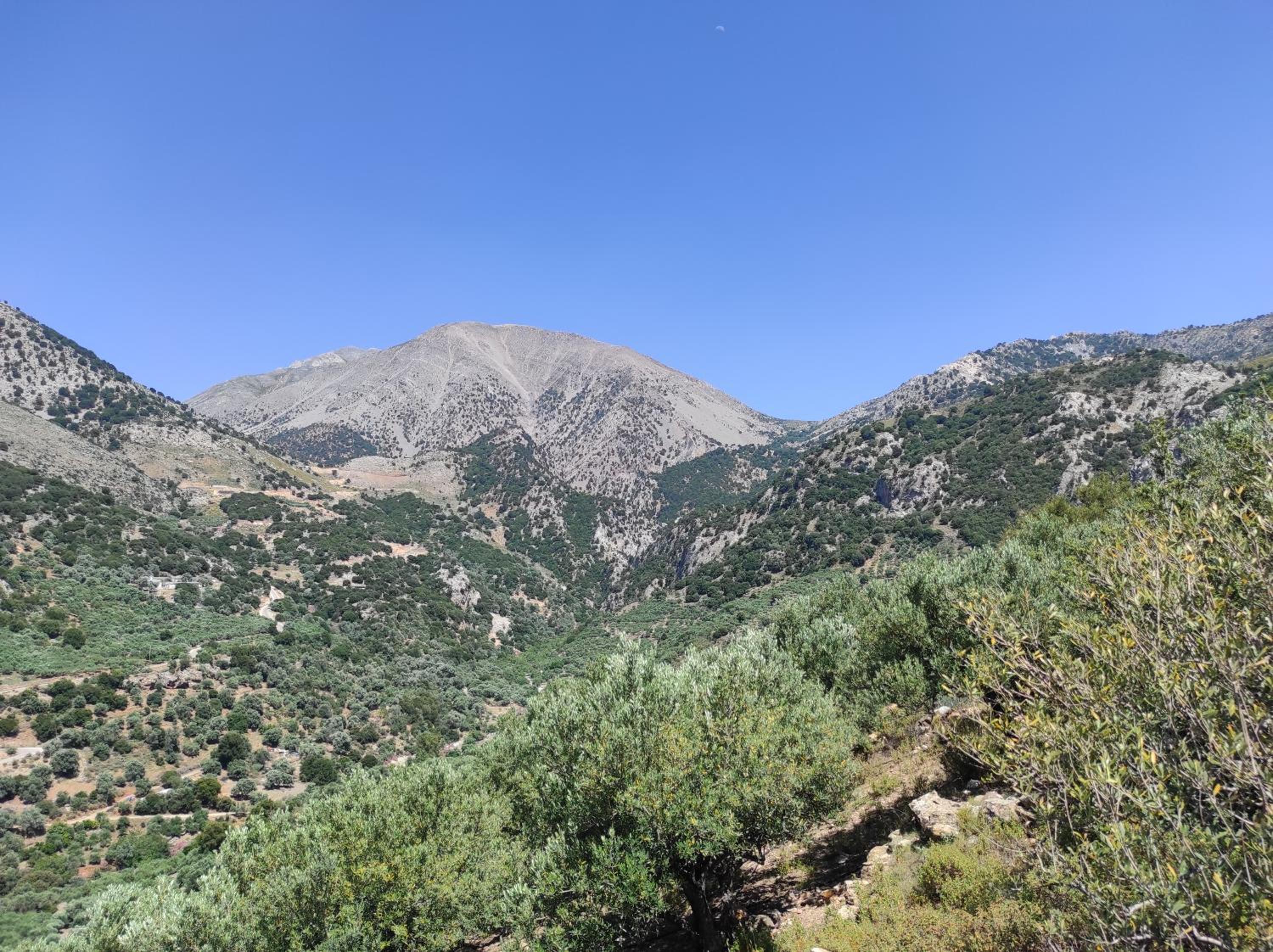 Photo 46