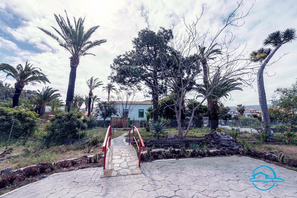 La Violeta Home