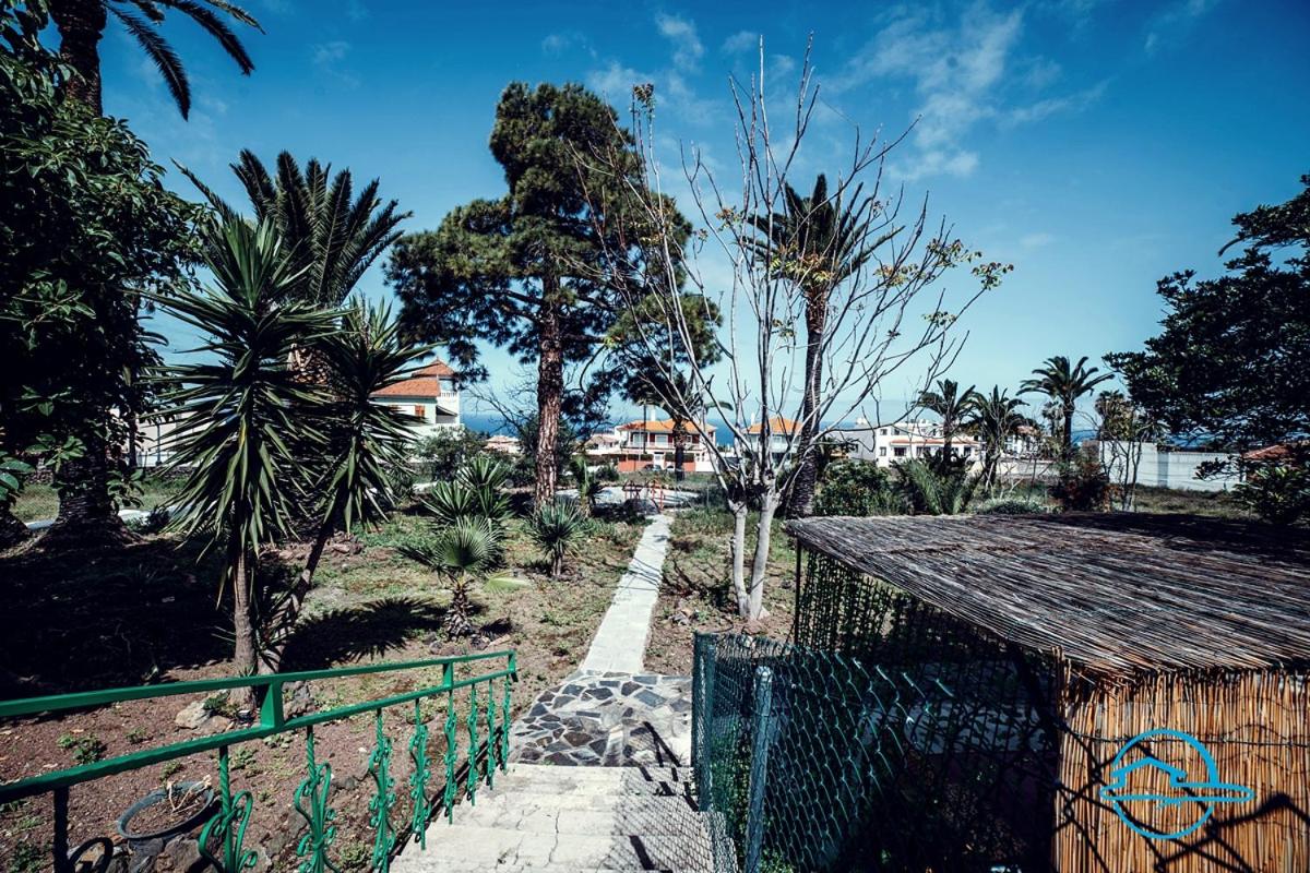La Violeta Home