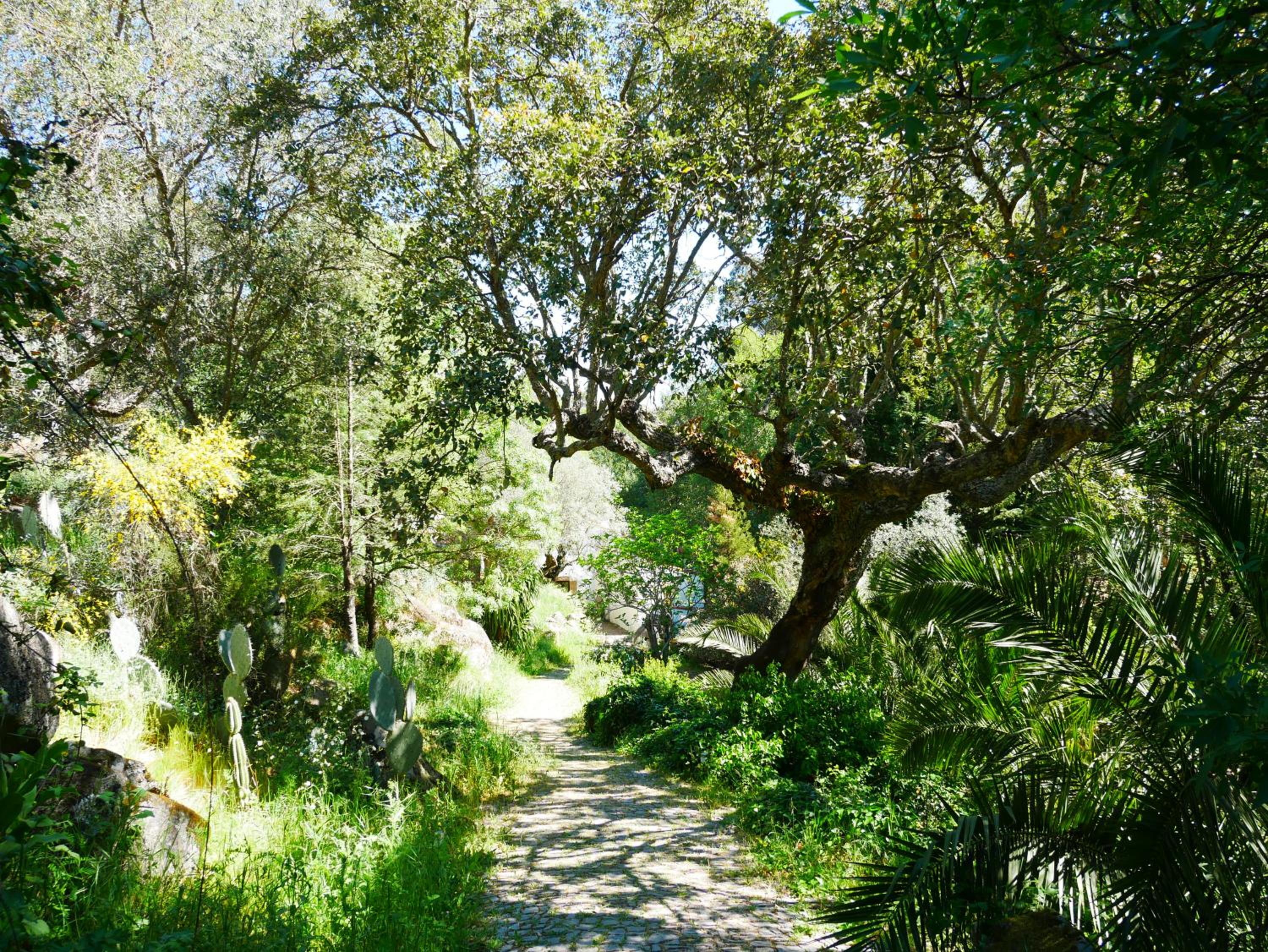 Photo 46