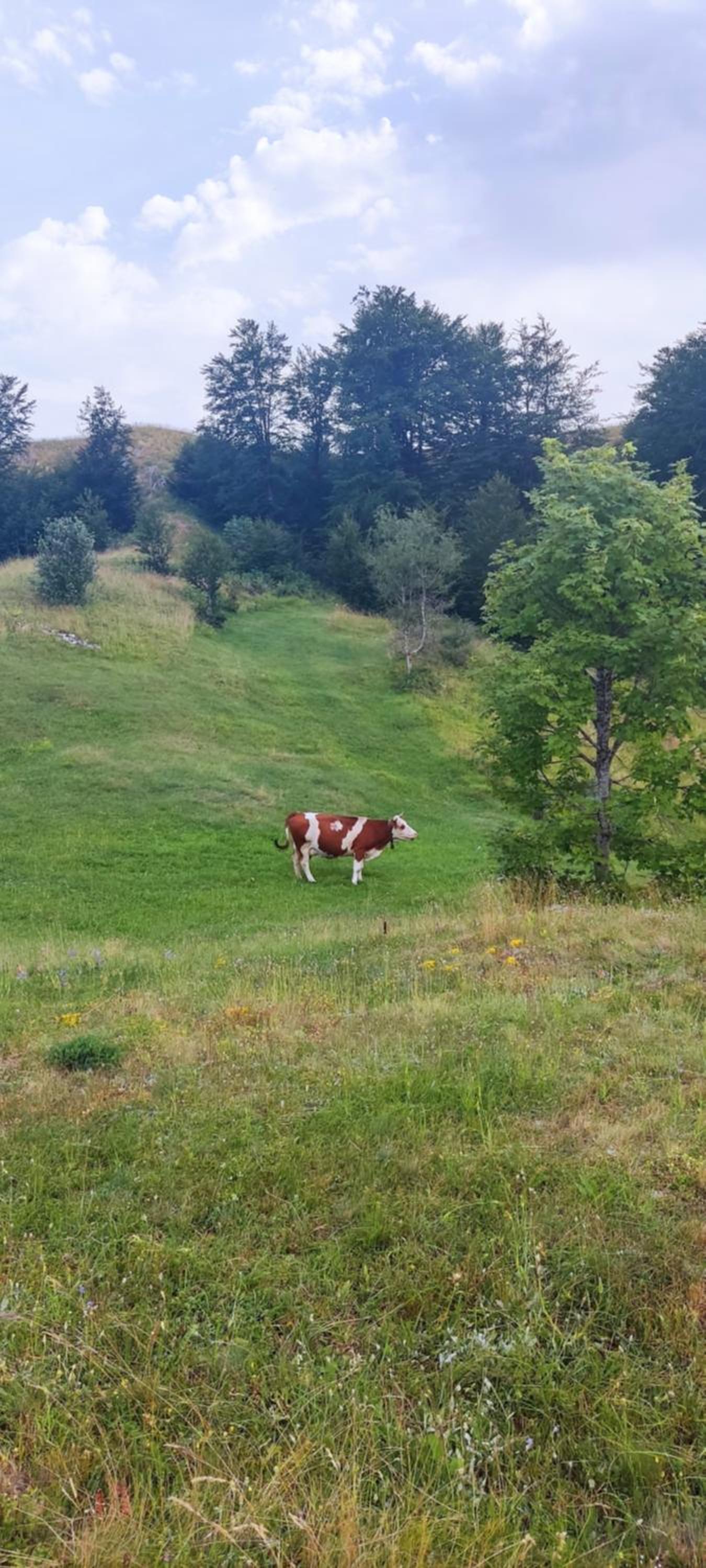 other