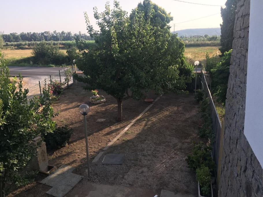 green holiday view 3