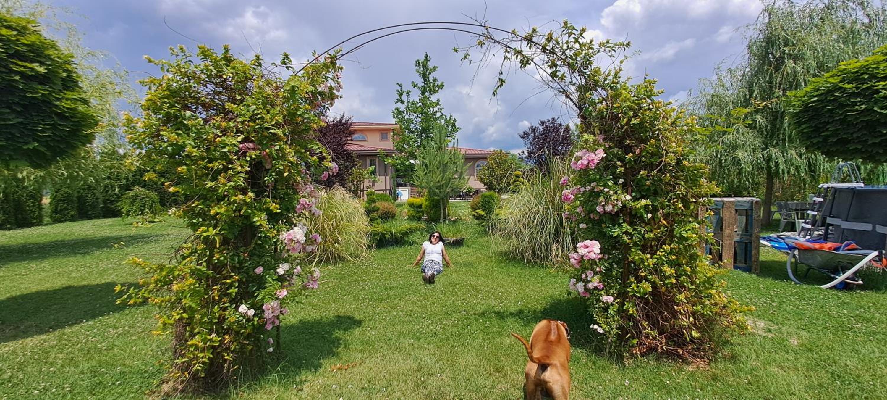 Green Villa Rodna view 5
