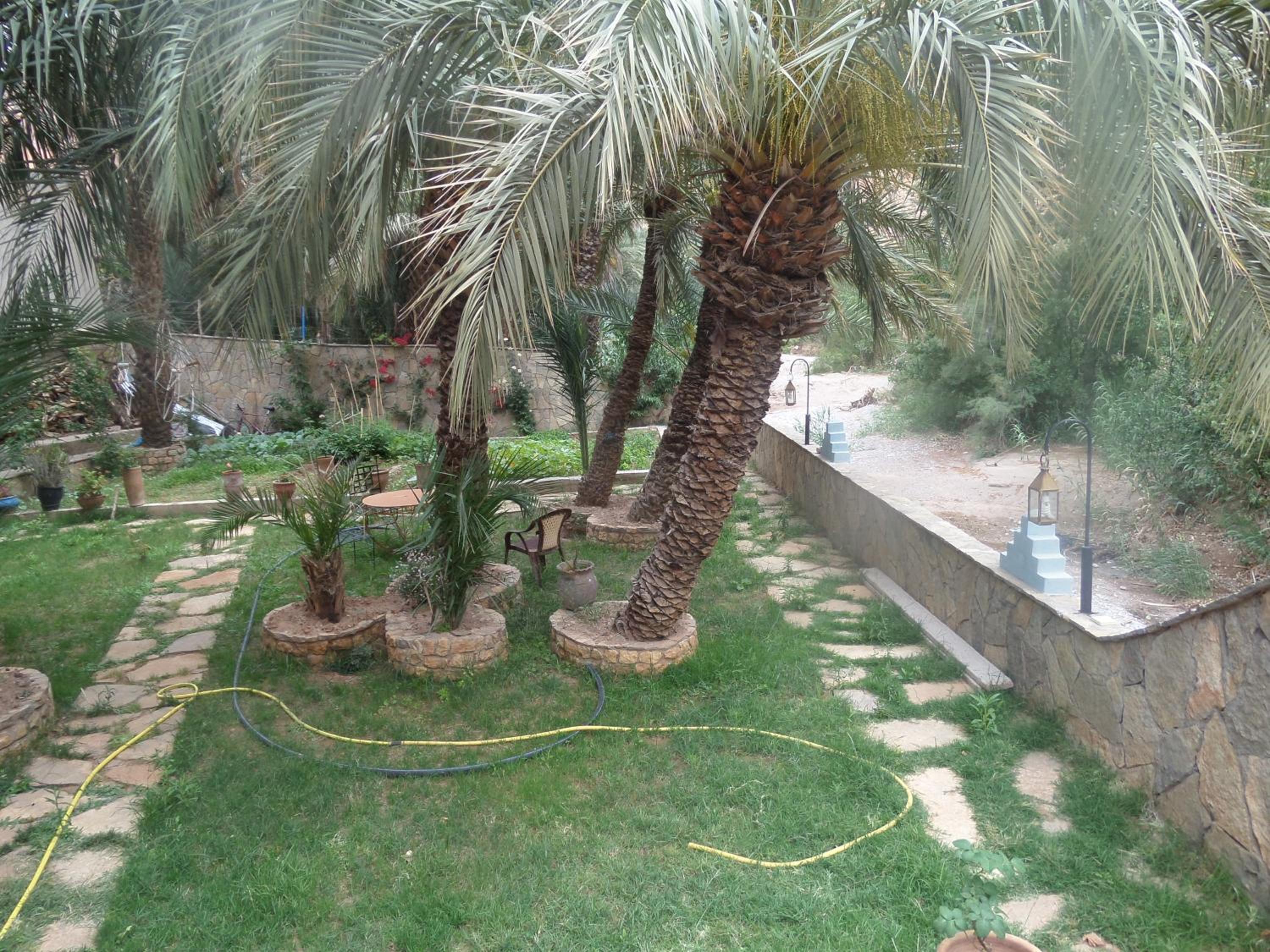 Photo 21