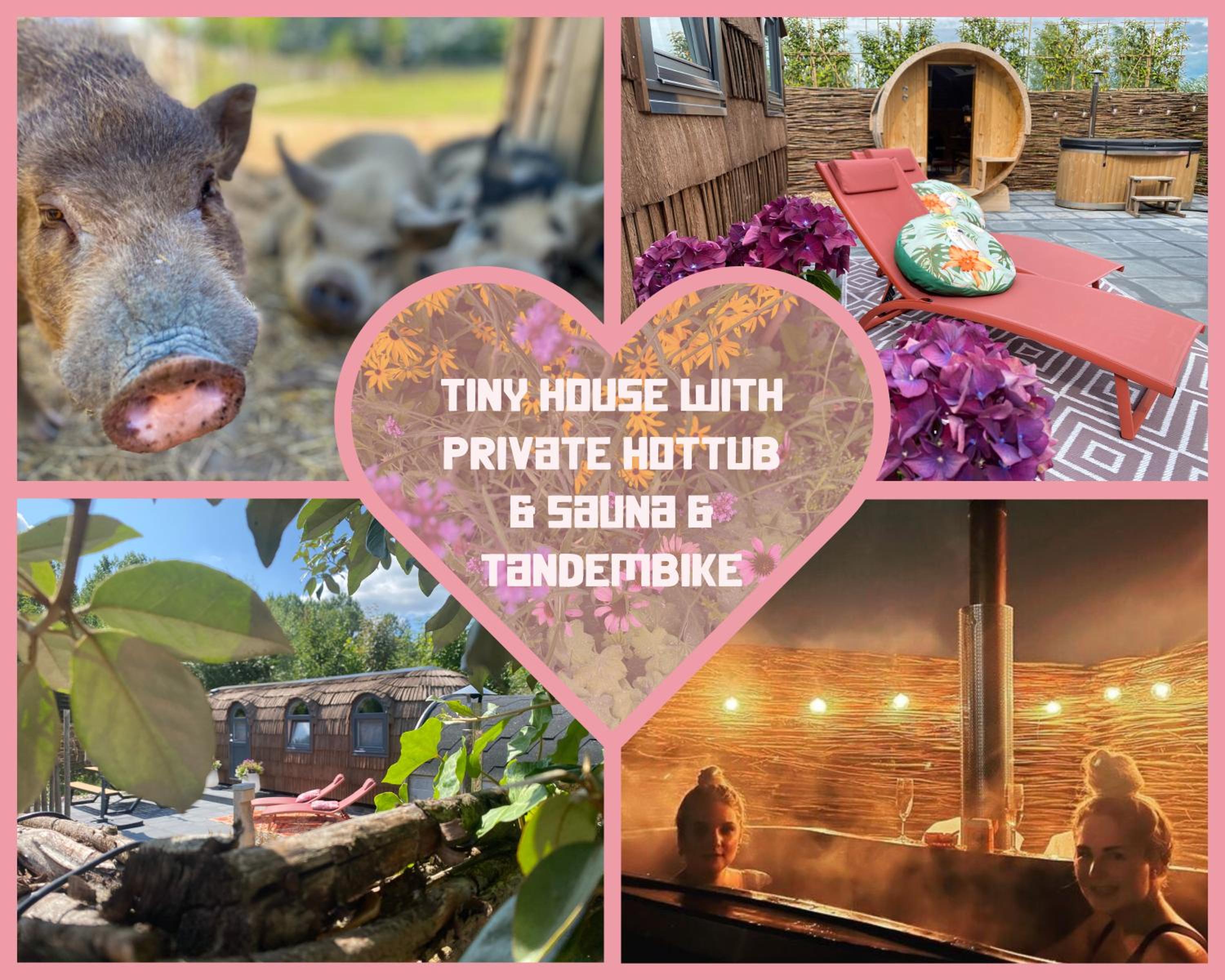 Bed & Wellness Pigs and Pillows with private hottub and sauna and tandembike rental included in price near Amsterdam