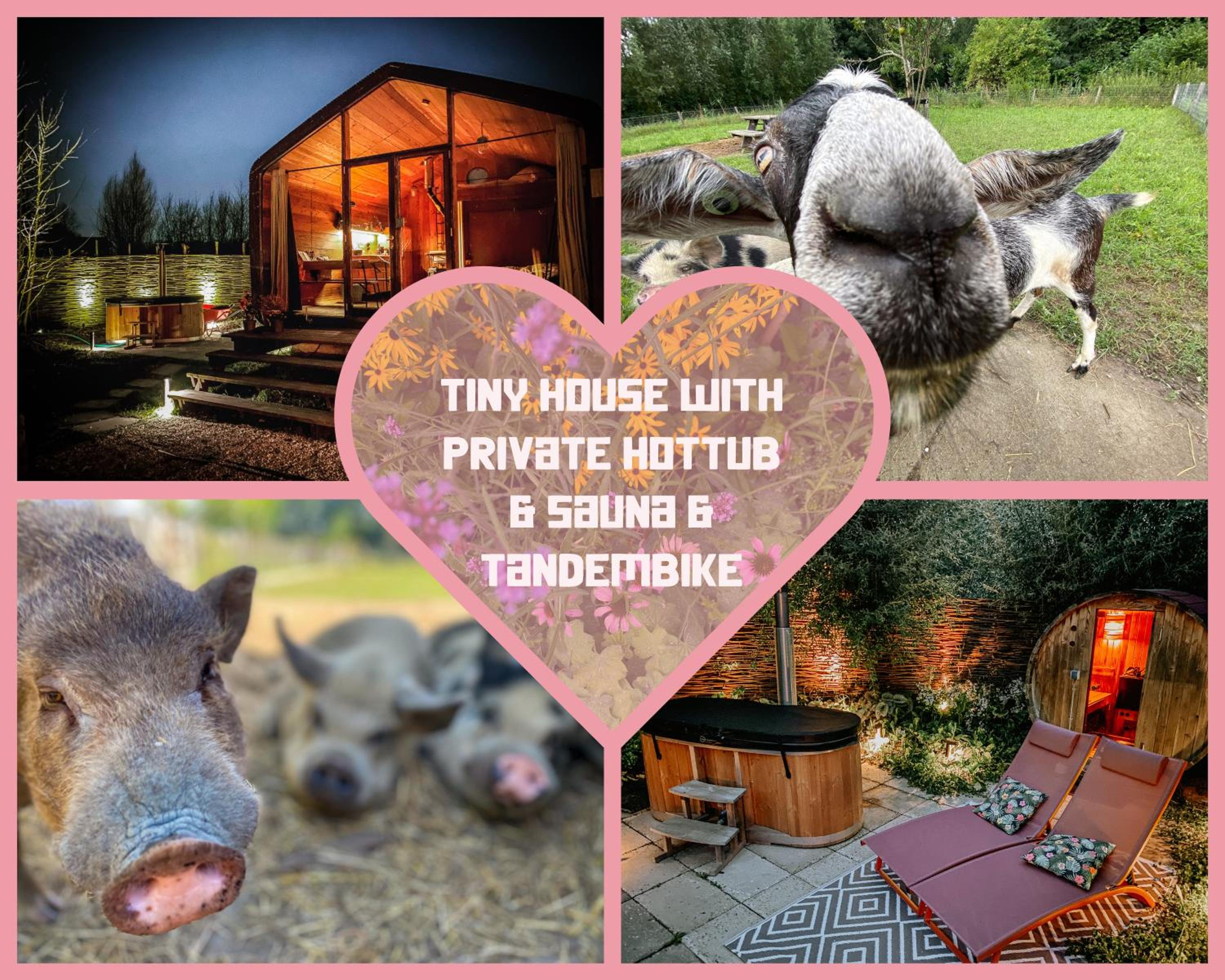 Bed & Wellness Pigs and Pillows with private hottub and sauna and tandembike rental included in price near Amsterdam