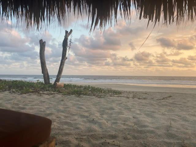 Villa Lavanda Puerto Escondido Beachfront