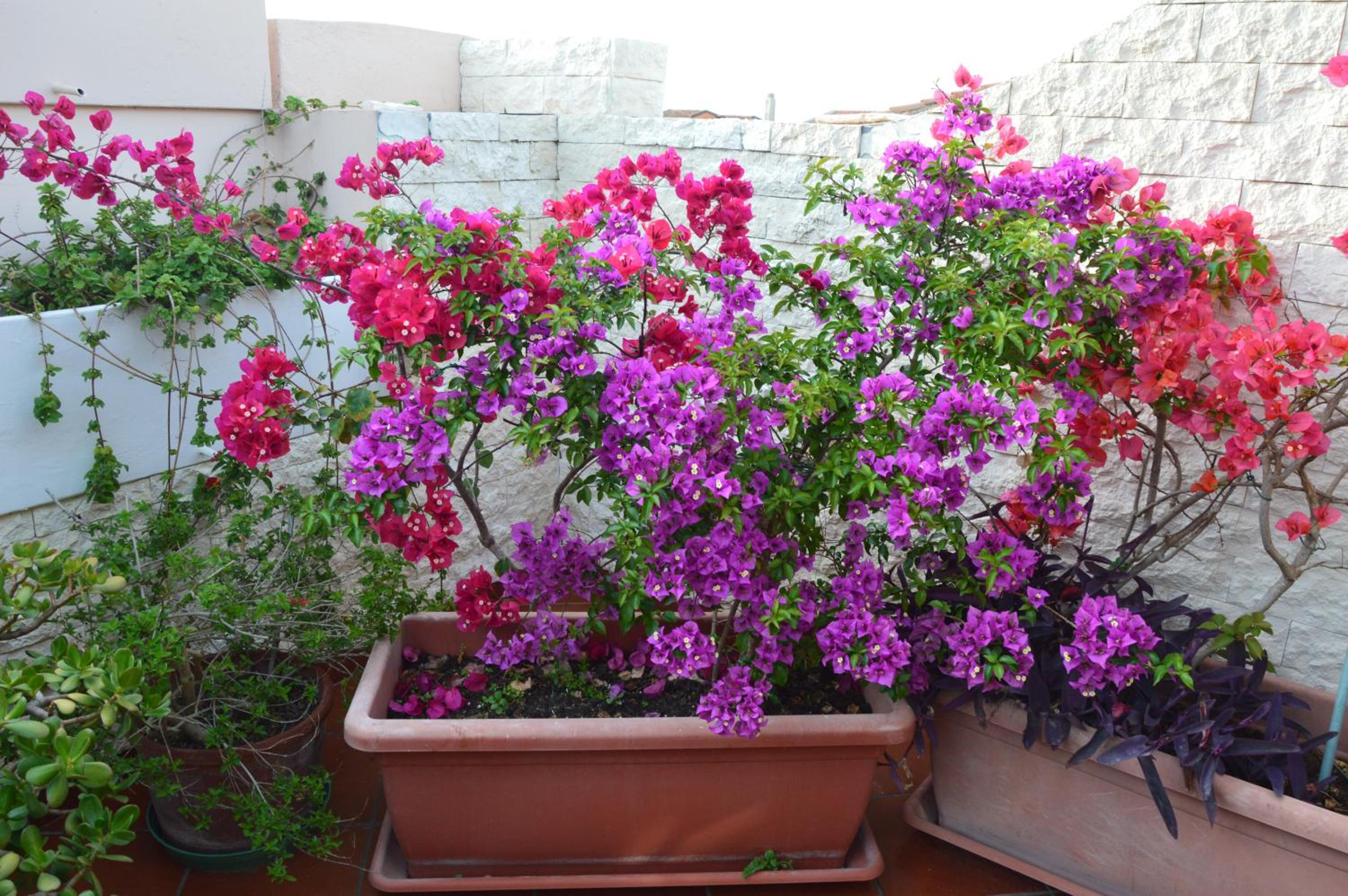 La Casa di Gianna photo 2