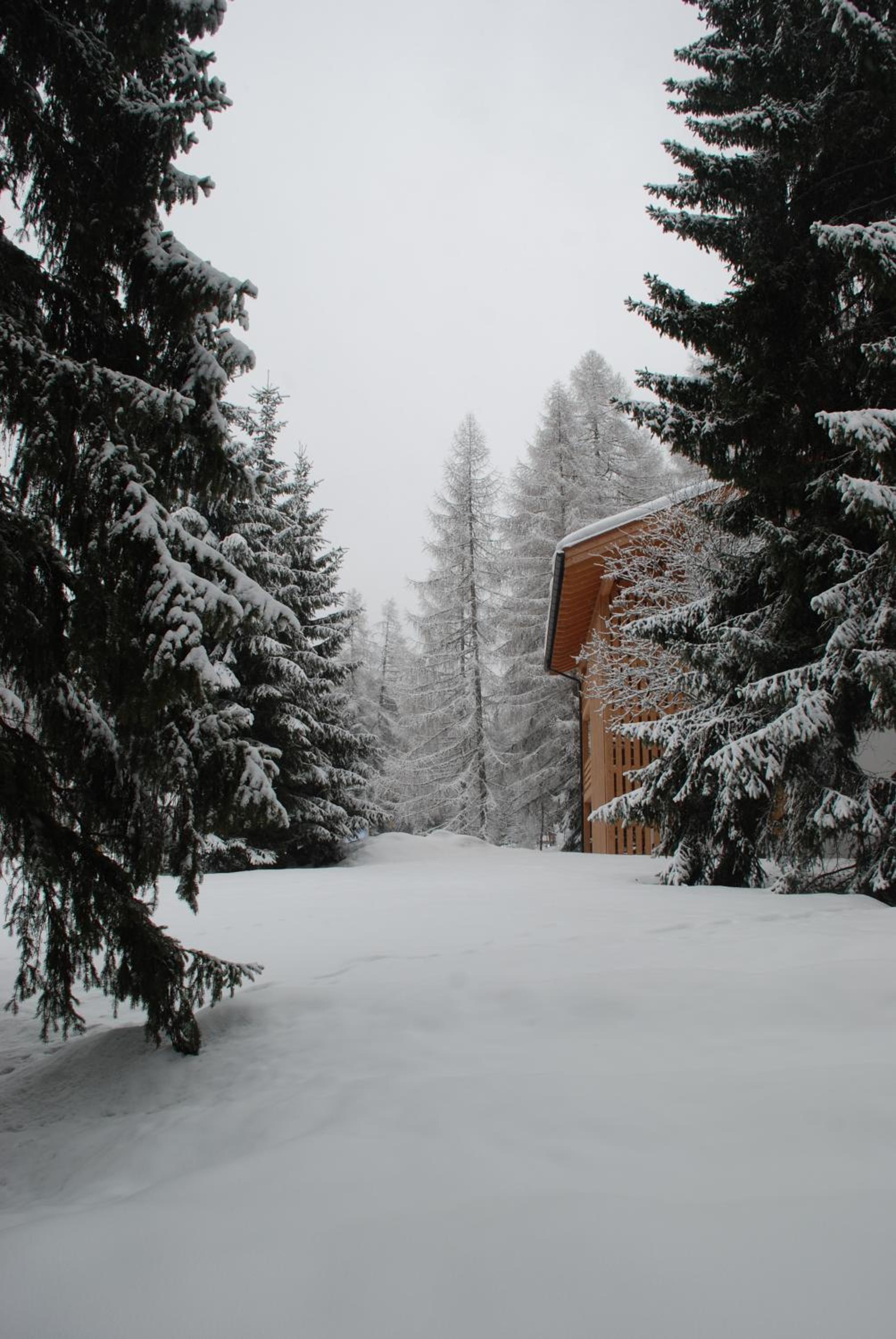 Residenza Larici