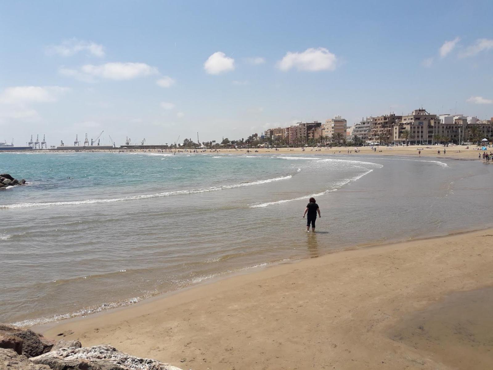 Latido Del Puerto