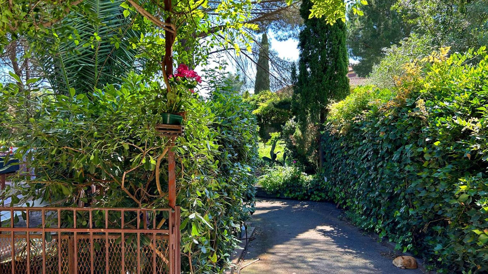 B&B Etnea Centoundici view 3