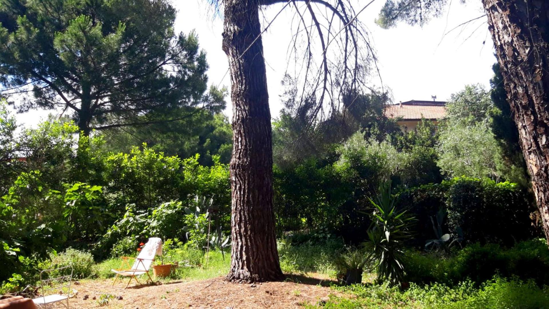 B&B Etnea Centoundici view 4
