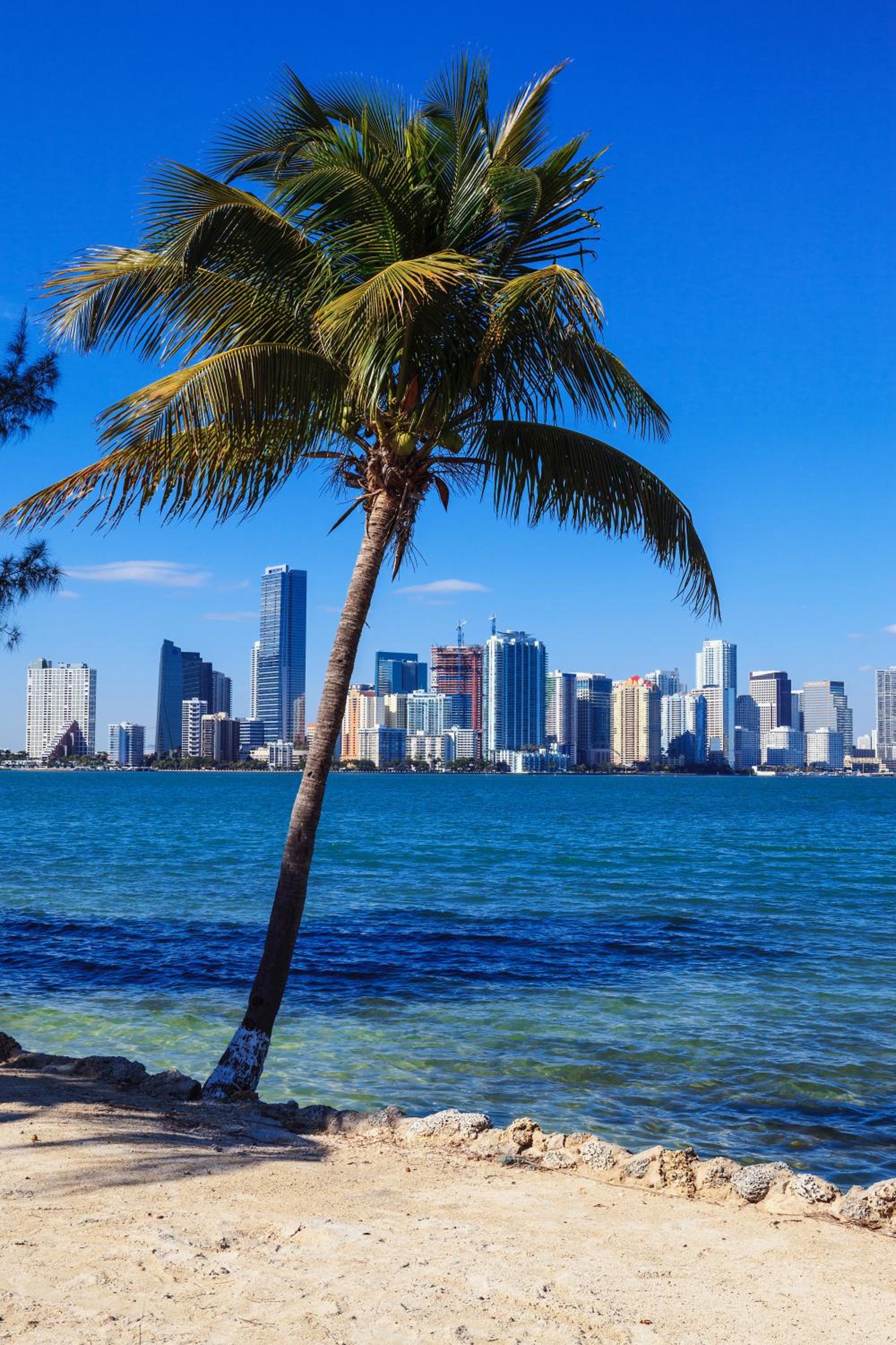 Intimate Casita Mia minutes away from Airport, Calle 8, Brickell, Coral Gables, The beach and more!