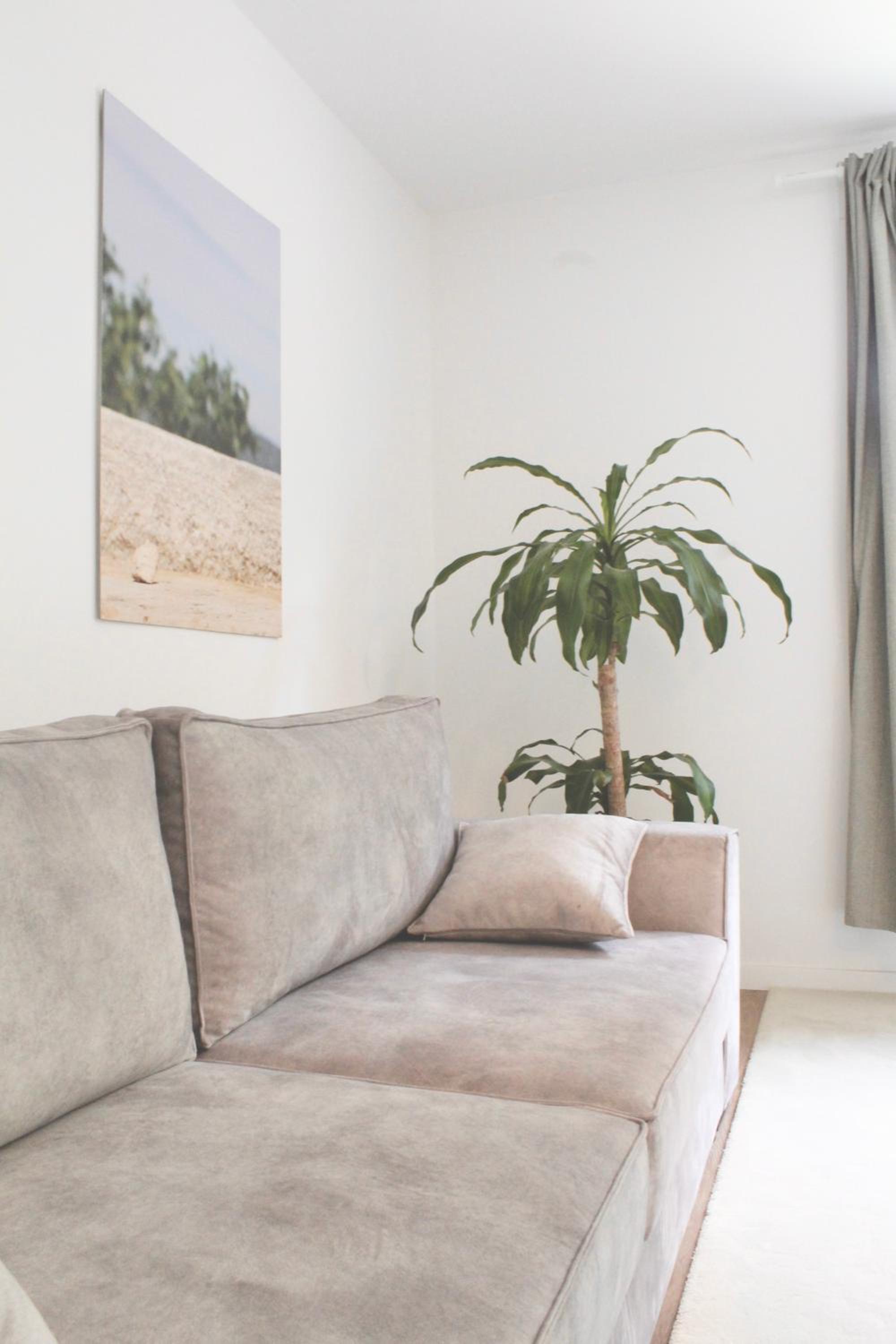 Stardust Apartment