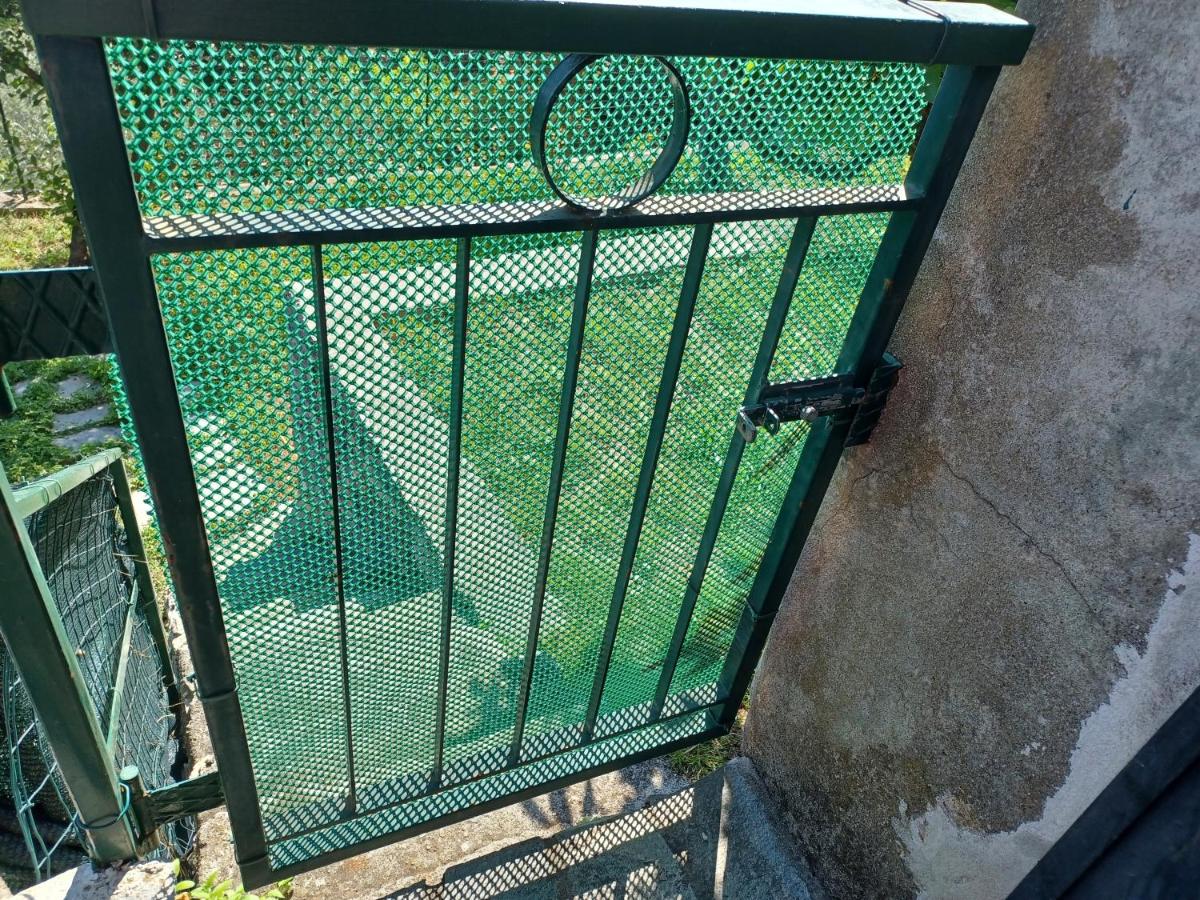 Photo 43