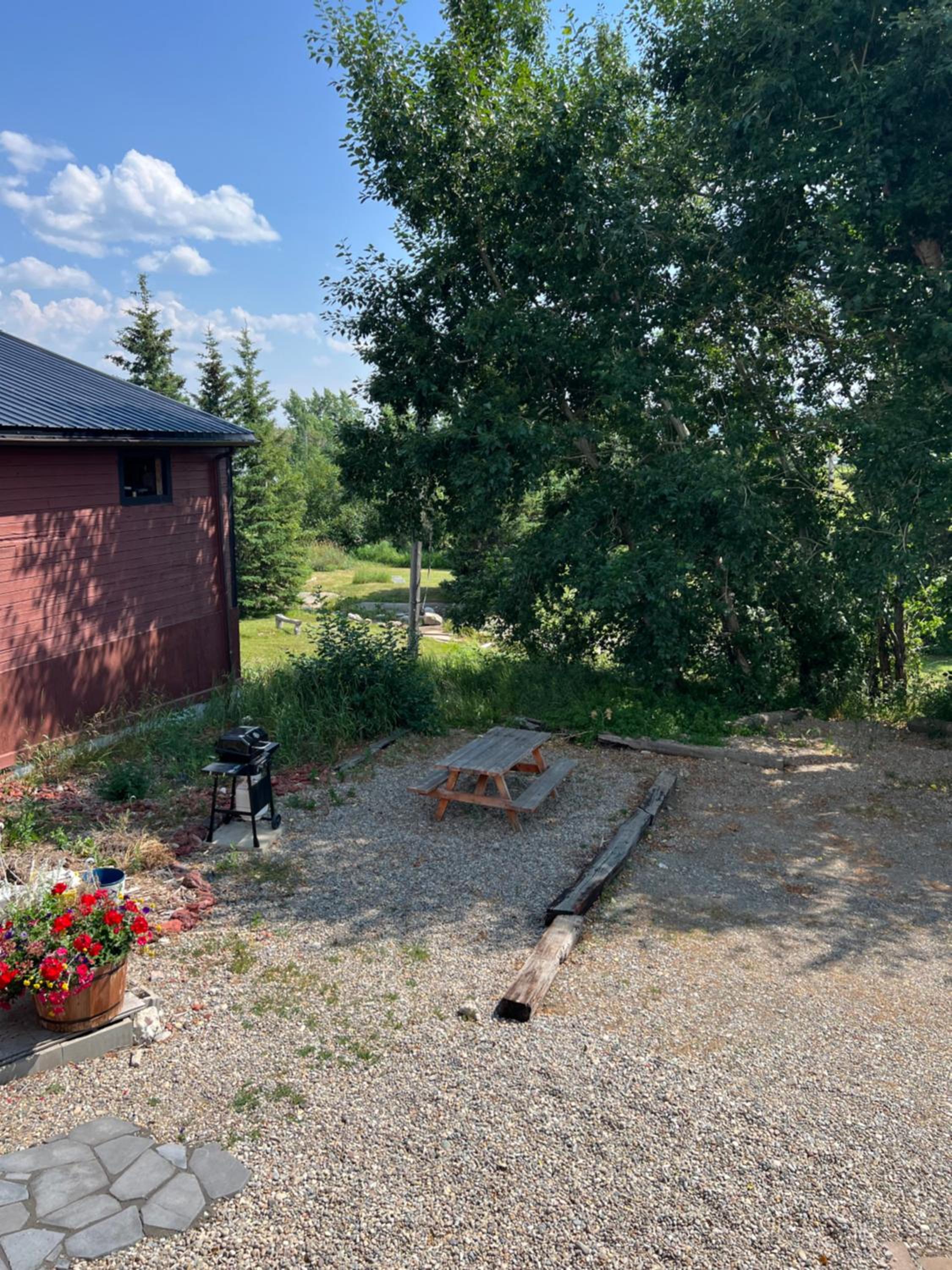Bear Country Inn and Suites