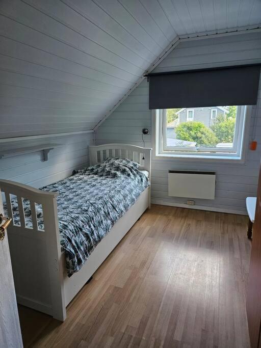 House near Reisa national park, Aurora and the Midnight sun
