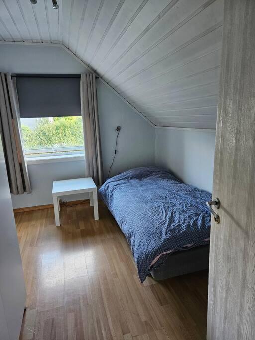 House near Reisa national park, Aurora and the Midnight sun