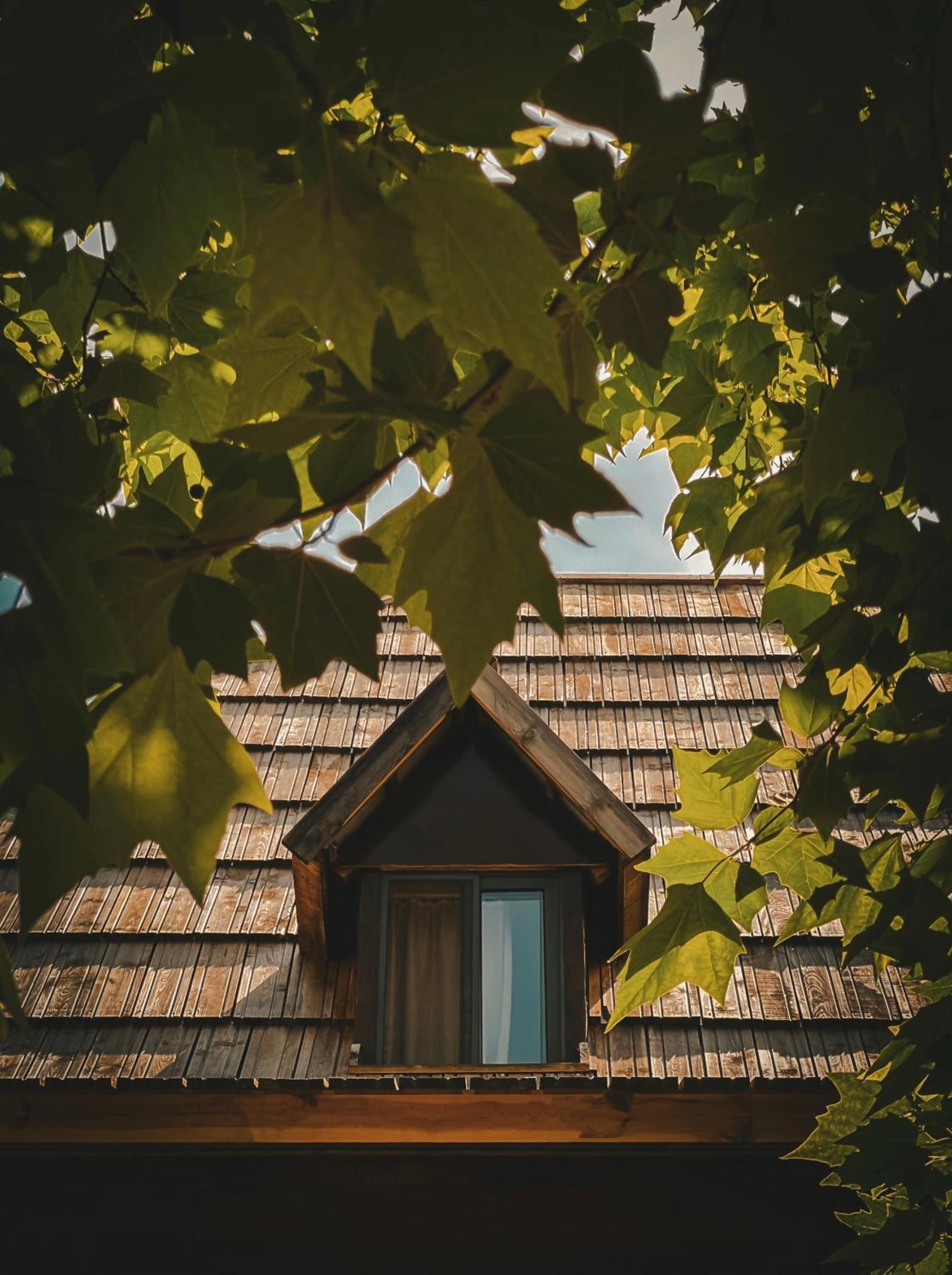 Guesthouse Pashko